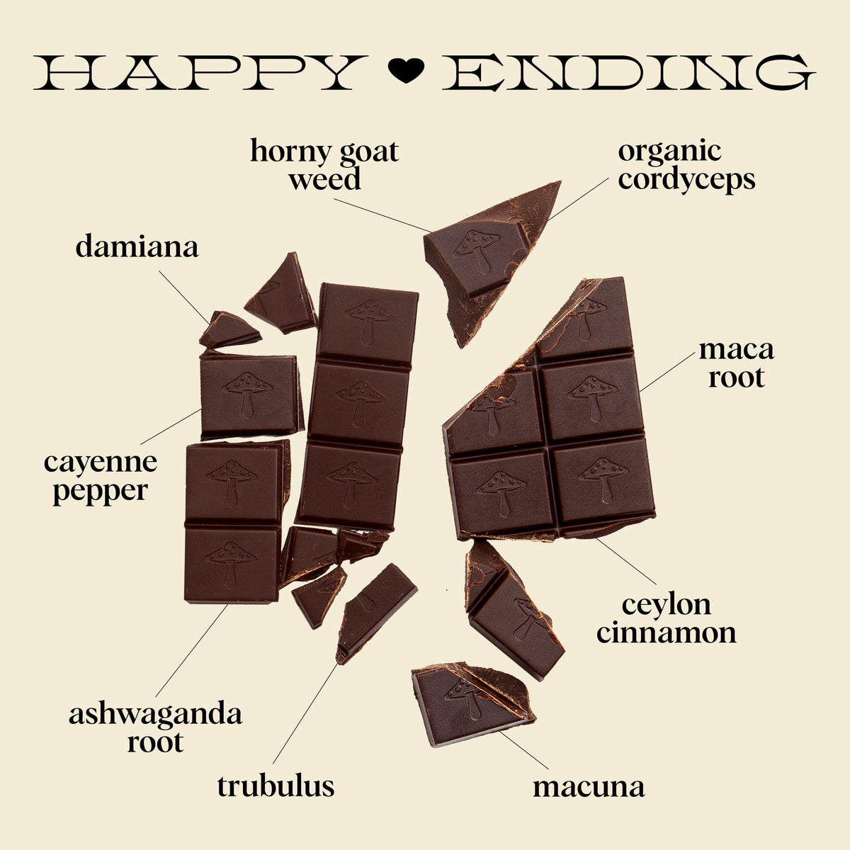 Alice Mushrooms Happy Ending — Mood & Energy Chocolate with Cordyceps