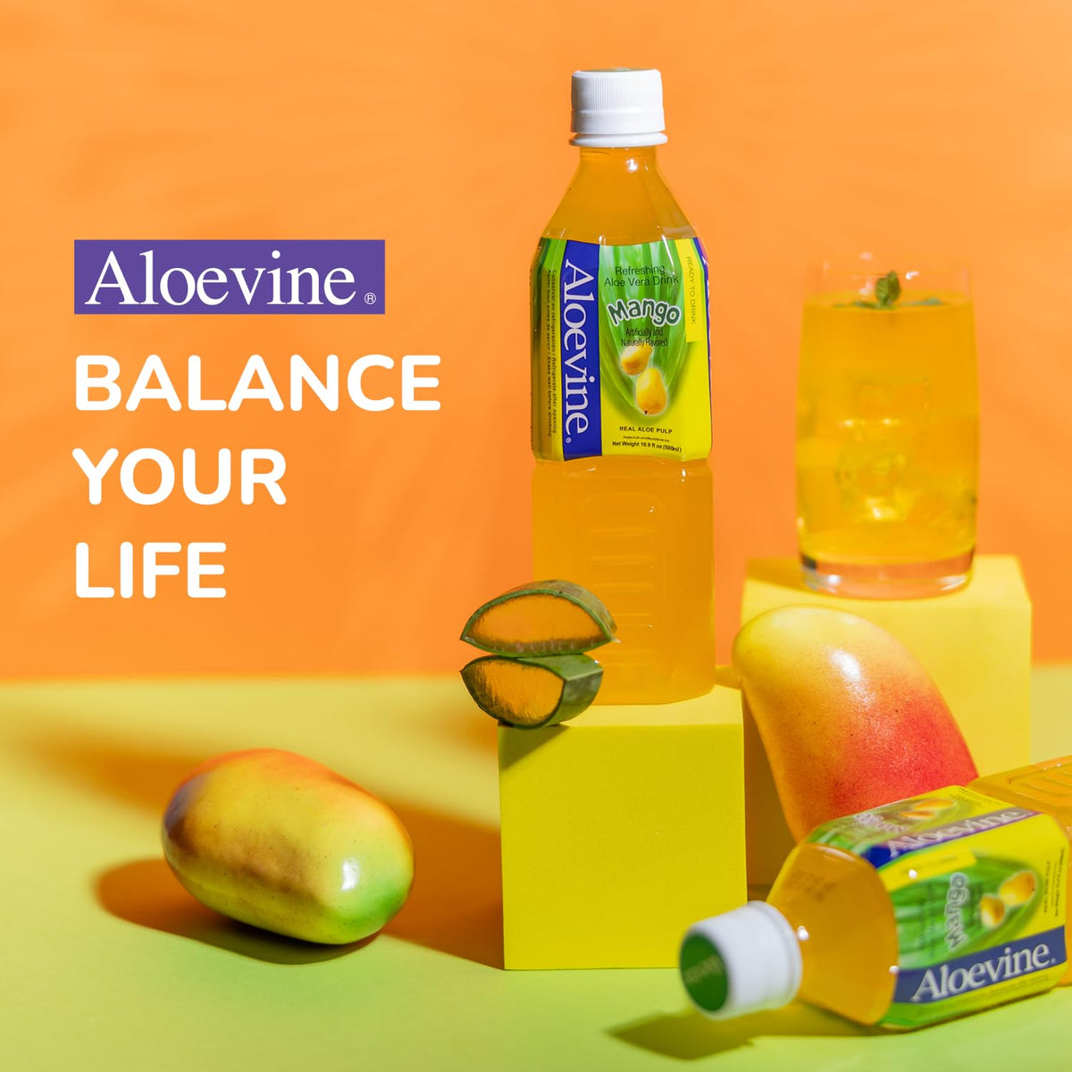 Aloevine Mango Aloe Vera Drink – 16.9 oz Bottle (10-Pack) | Plant-Based Korean Beverage