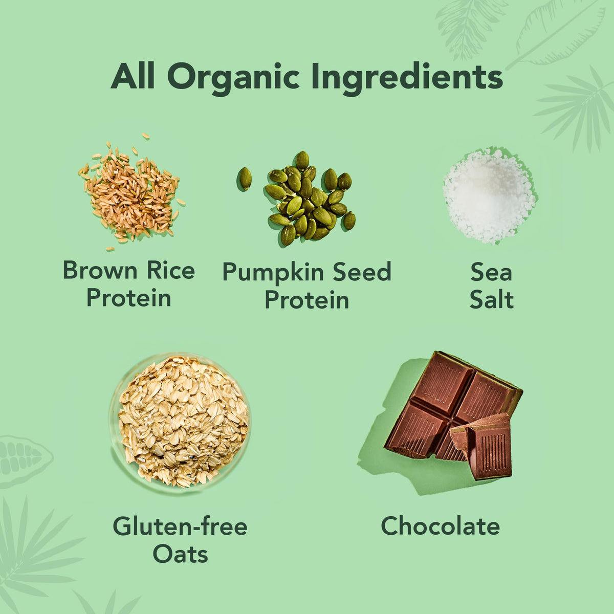 ALOHA Organic Plant-Based Protein Bars – Oatmeal Chocolate Chip, 12 Count | Vegan, Gluten-Free, Low Sugar