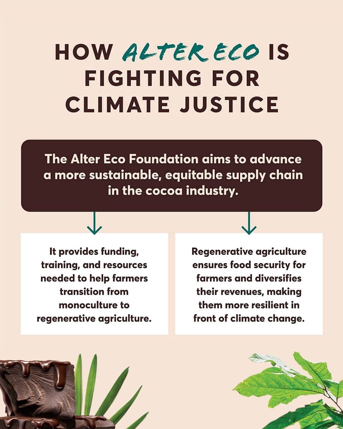Alter Eco SuperDark Truffles | Pure Dark Cocoa, Organic & Fair Trade, Non-GMO, Gluten Free - 60 Truffles