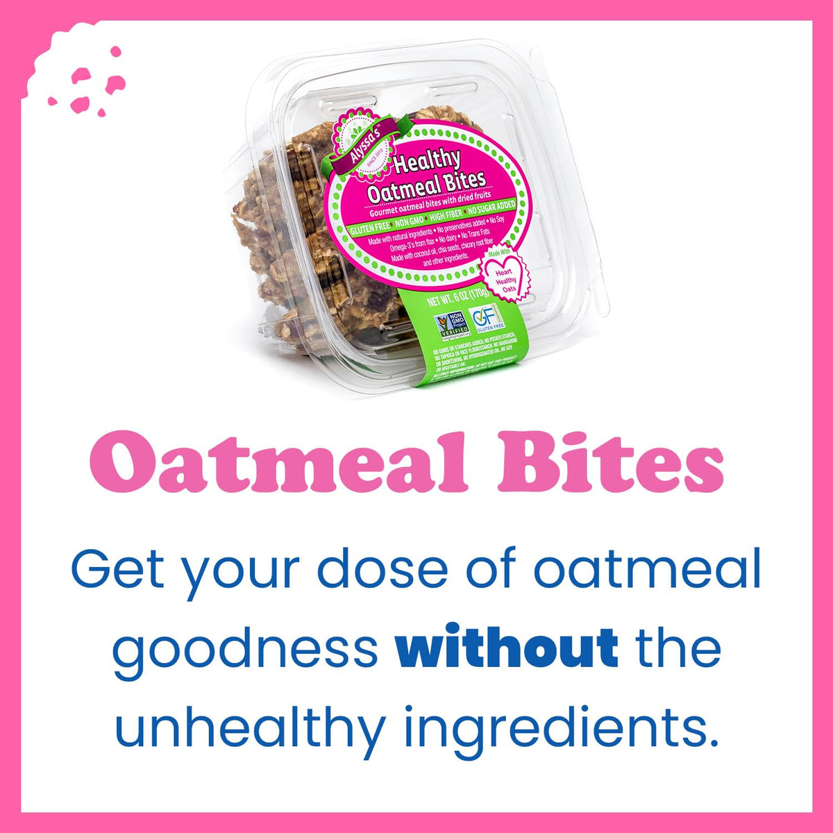 Alyssa's Gluten Free Oatmeal Cookies - Pack of 4 | ALYSSA'S SINCE 2010
