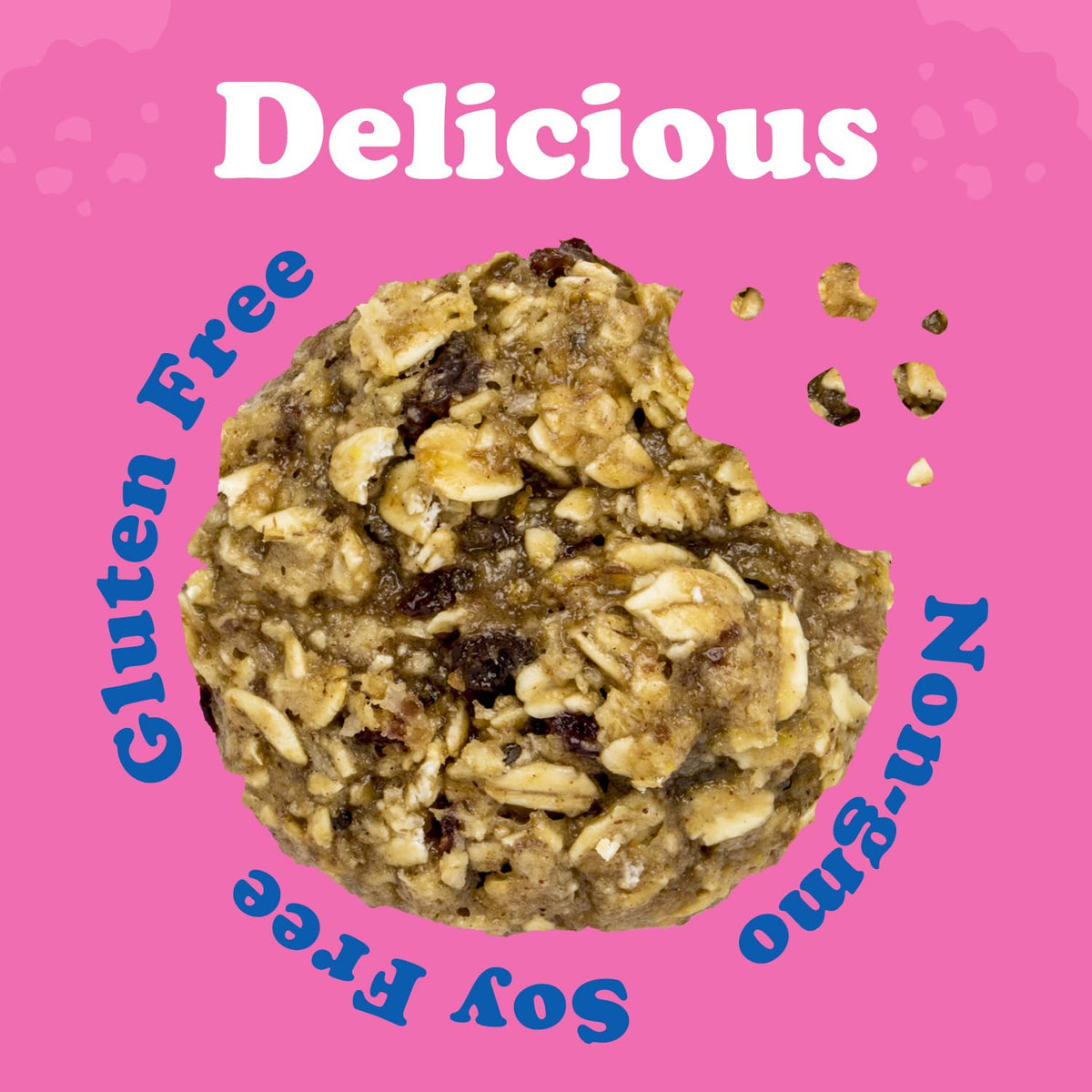 Alyssa's Gluten Free Oatmeal Cookies - Pack of 4 | ALYSSA'S SINCE 2010