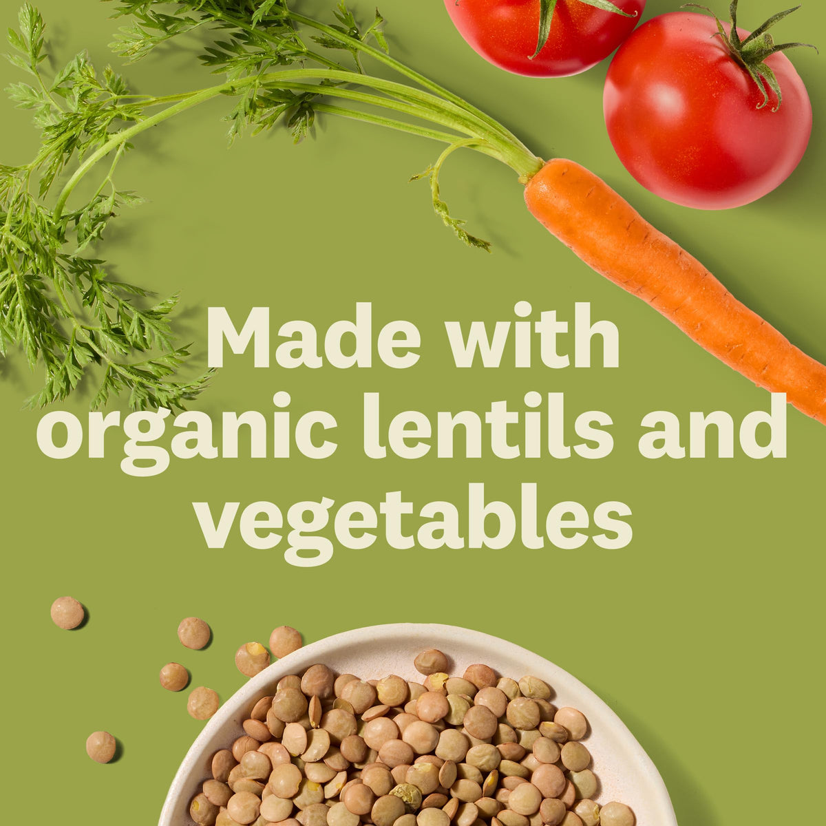 Amy’s Organic Lentil Soup – Gluten Free, Vegan, 14.5 oz Cans (6-Pack)