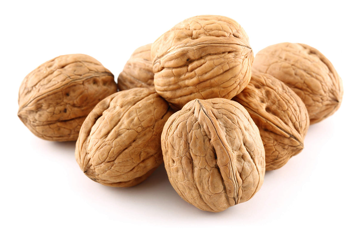 Anna and Sarah Walnuts in Shell – Jumbo California Chandler, Fresh & Not Bleached • 5.5 Lbs