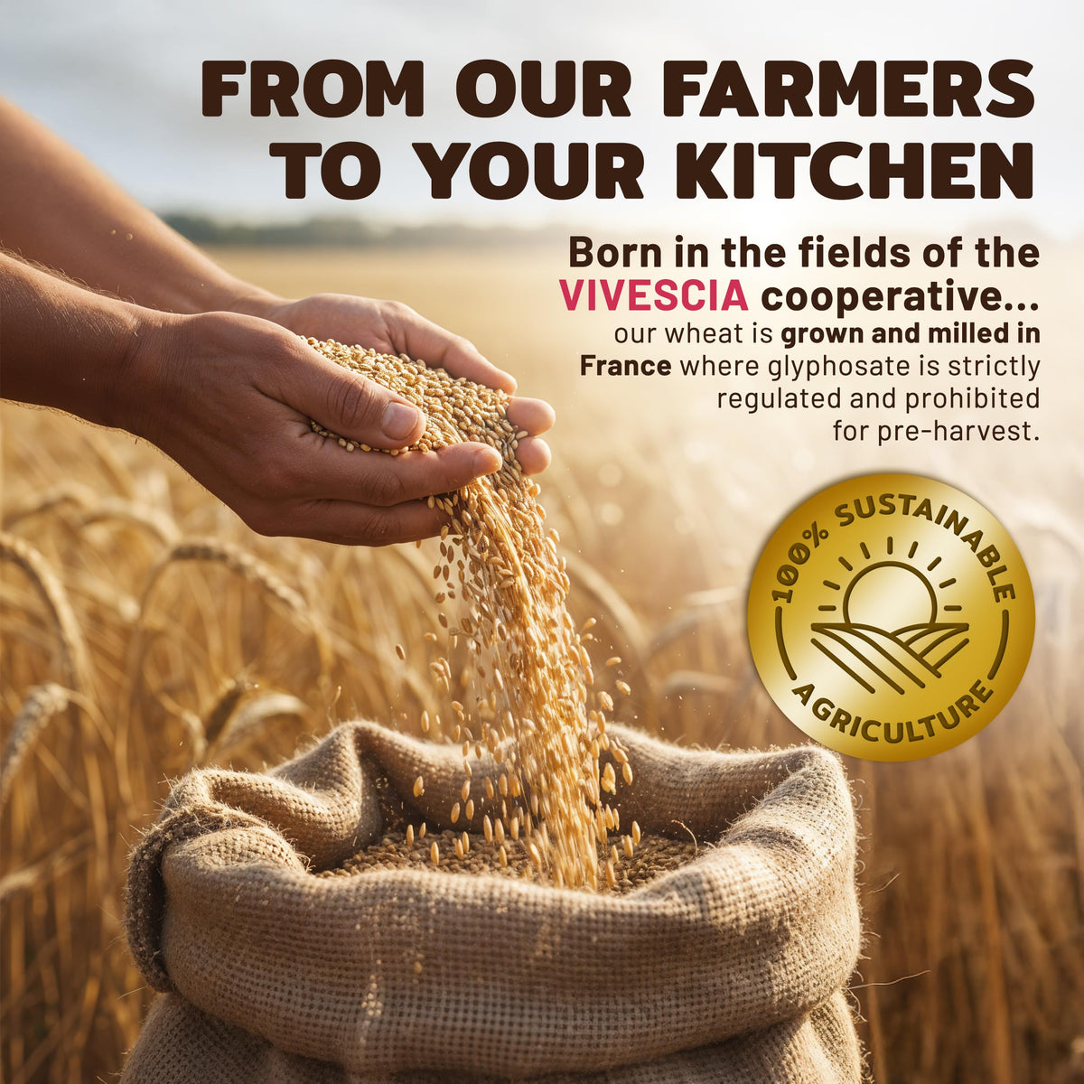 Aterra Mills T55 French All-Purpose Flour | Unbleached Bread Flour, 5kg