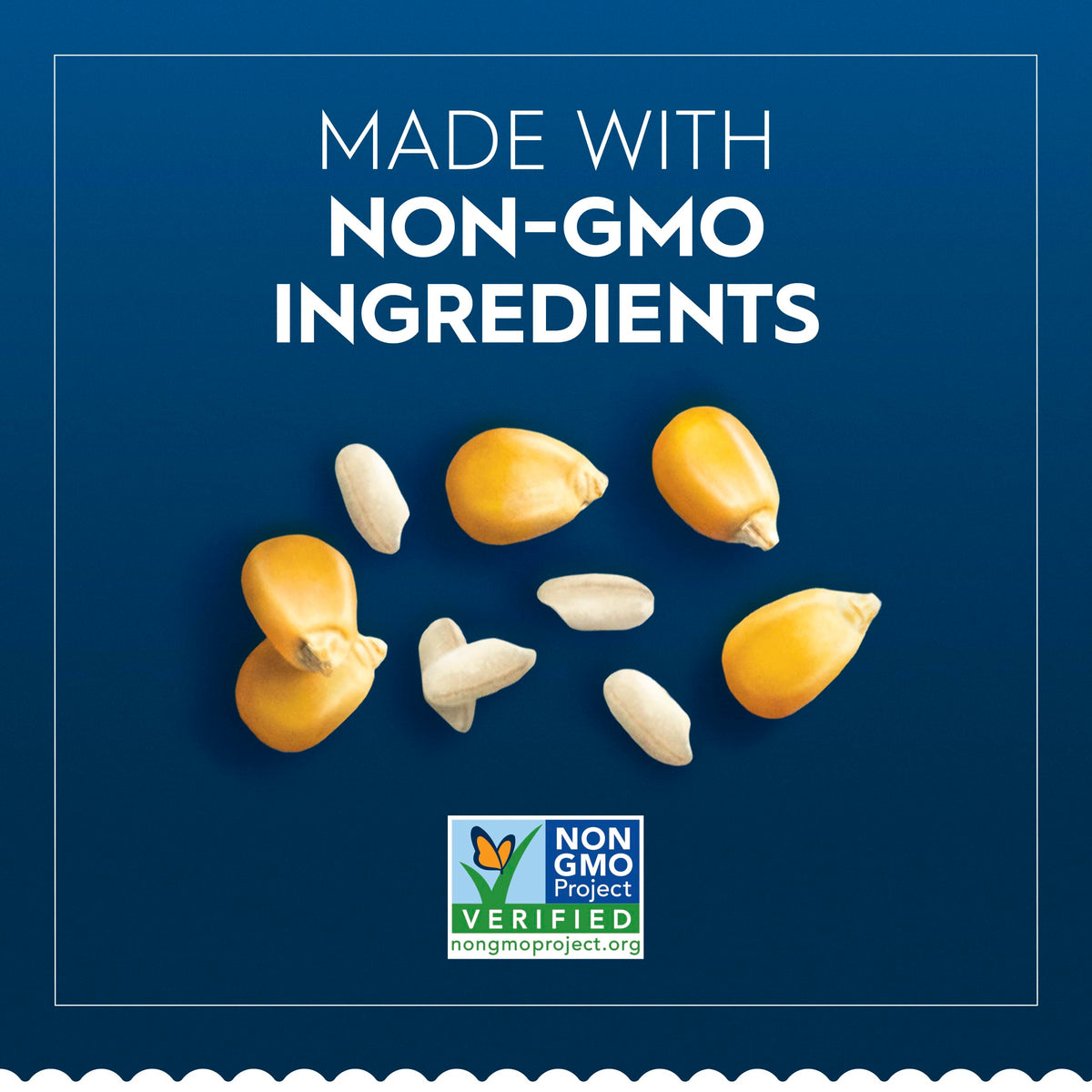 Barilla Gluten Free Fettuccine Pasta, 12 oz – Corn & Rice, Al Dente Texture