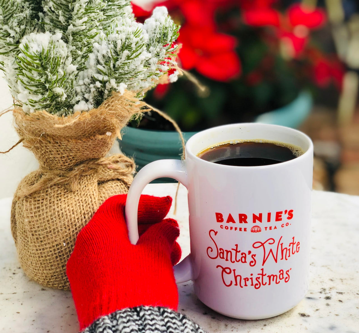 Barnie's Santa's White Christmas Ground Coffee — Coconut, Caramel & Vanilla, Medium Roast (12 oz) | Pack of 2