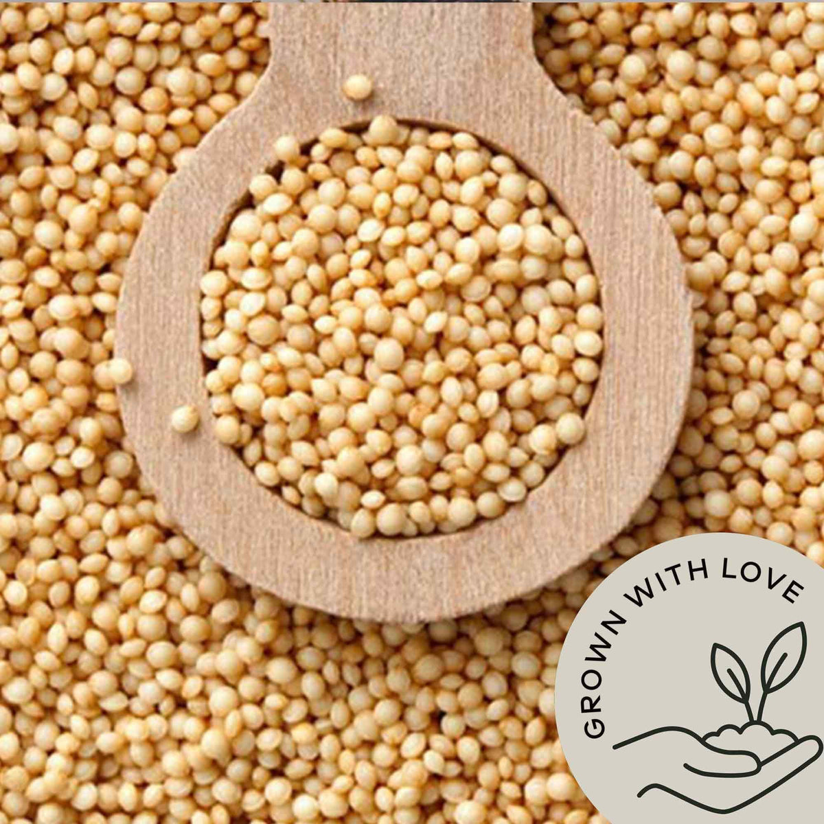 Be Still Farms Organic Amaranth Grain (4.8 lb) – Bulk Whole Seeds, USA Grown