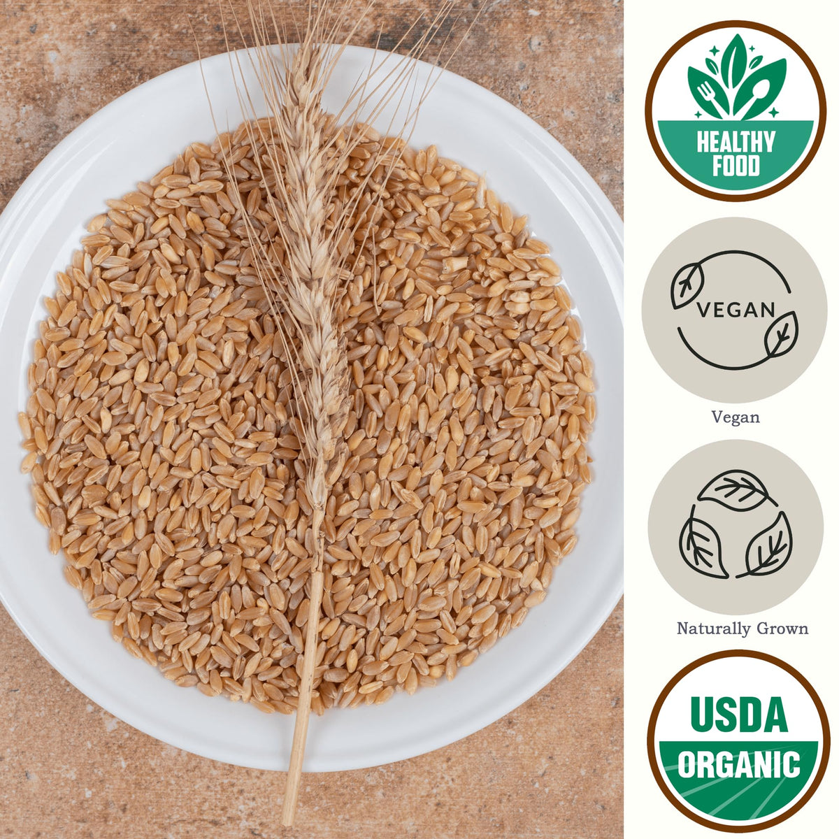 Be Still Farms Organic Hulled Barley Grain (4.8lb) – High-Fiber Whole Barley Groats