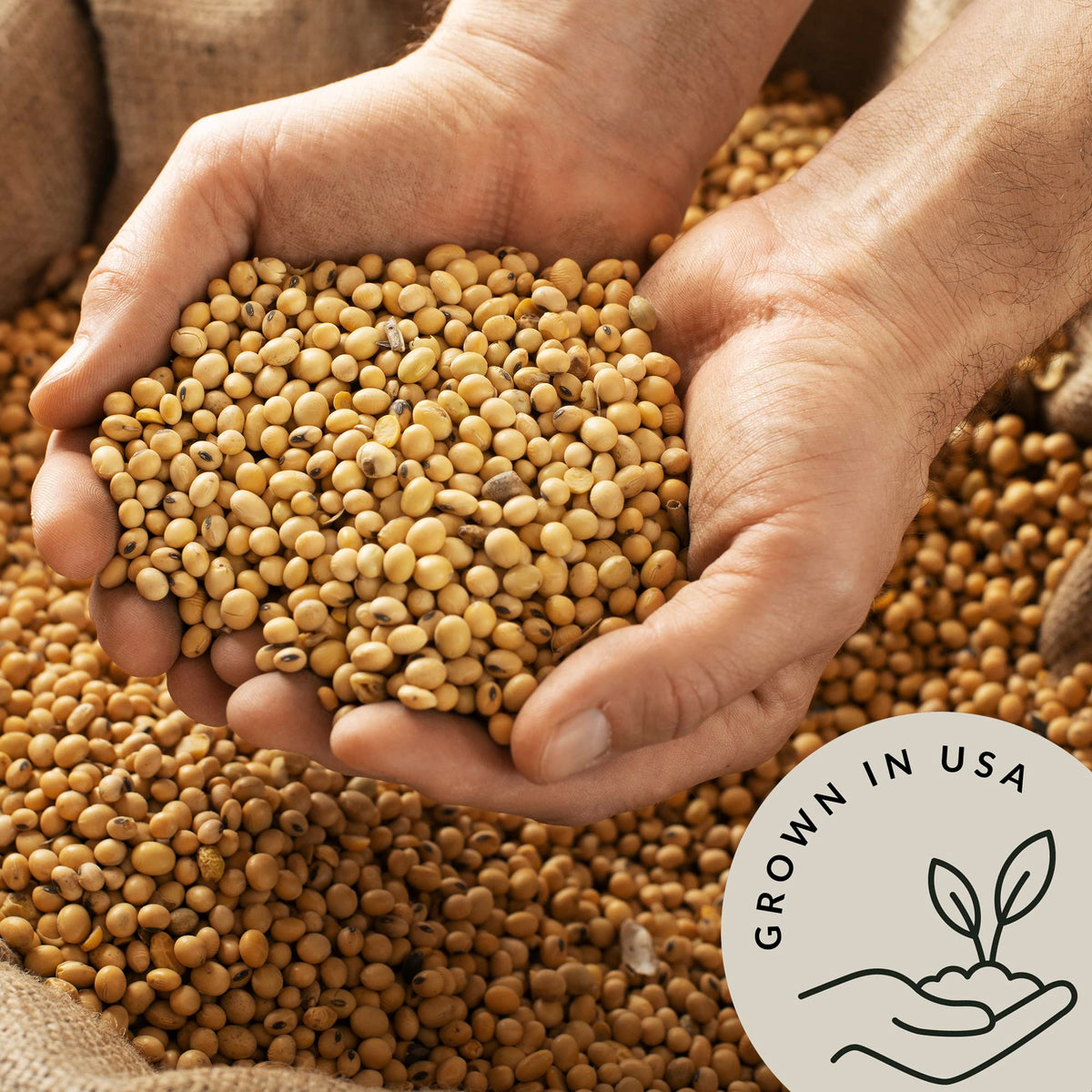 Be Still Farms Organic Soy Beans Bulk 4.8 lb | USA Grown, USDA Organic & Non-GMO