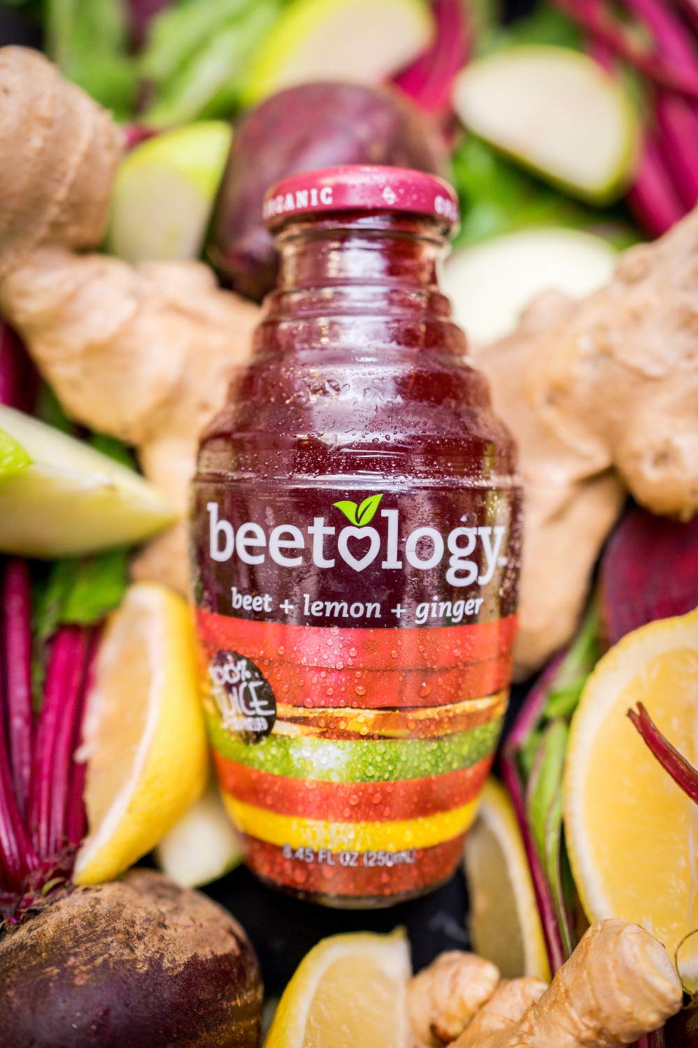 Beetology Organic Beet Juice Variety Pack – 6 Bottles (Beet + Veggie, Beet + Lemon Ginger, Beet + Cherry) | Vegan & Kosher