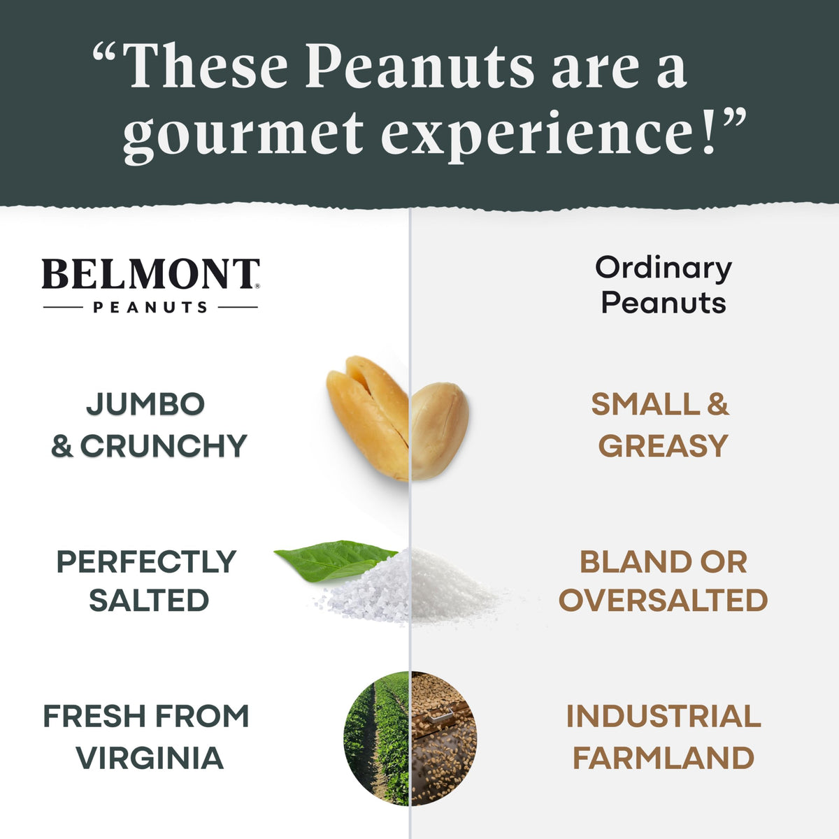 Belmont Peanuts Gourmet Chili Lime Virginia Peanuts, 20 oz – Simple Ingredients, No Preservatives, 7g Protein – Hand Seasoned, Crunchy, Citrusy, Spicy Snack