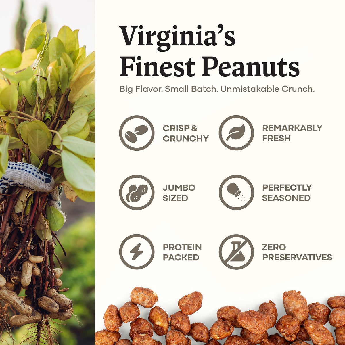 Belmont Peanuts Gourmet Butter Toffee Candied Peanuts, 25 oz | 4 Ingredients, No Preservatives, 3g Protein