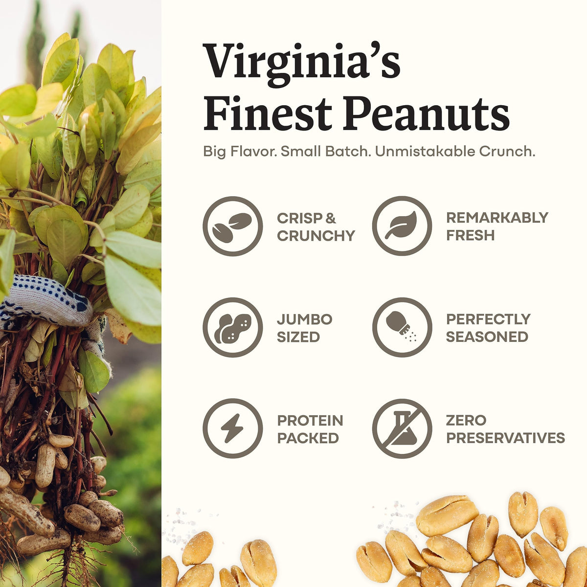 Belmont Peanuts Gourmet Sea Salt Virginia Peanuts, 38 oz – 3 Ingredients, No Preservatives, 7g Protein