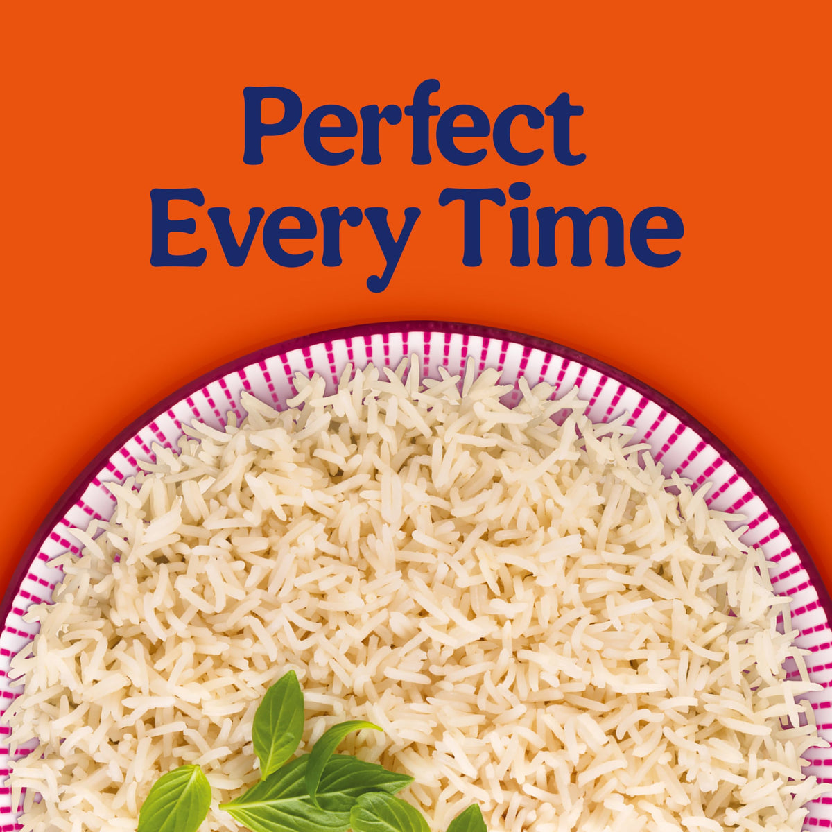 BEN'S ORIGINAL Ready Rice Jasmine Rice – 90-Second Microwave Pouches (12-Pack)