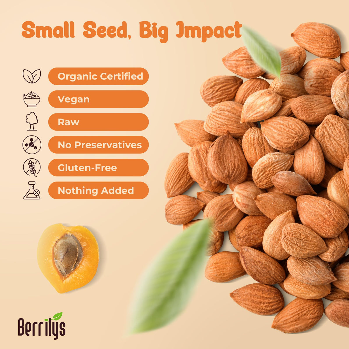 Berrilys Organic Bitter Apricot Kernels – USDA Organic, Non-GMO, 16 oz