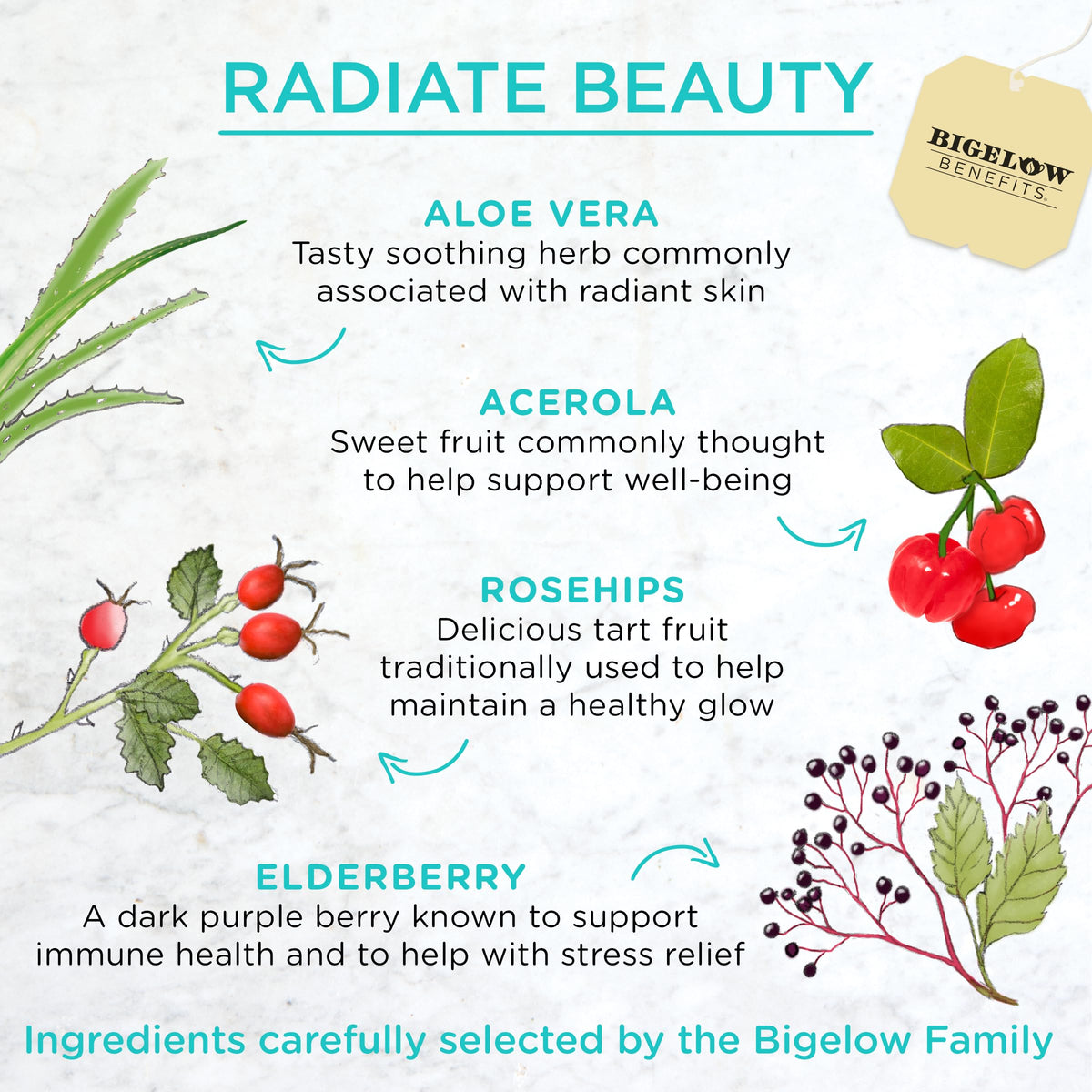 Bigelow Benefits Radiate Beauty Blueberry & Aloe Herbal Tea | Caffeine Free, 108 Bags (Pack of 6)