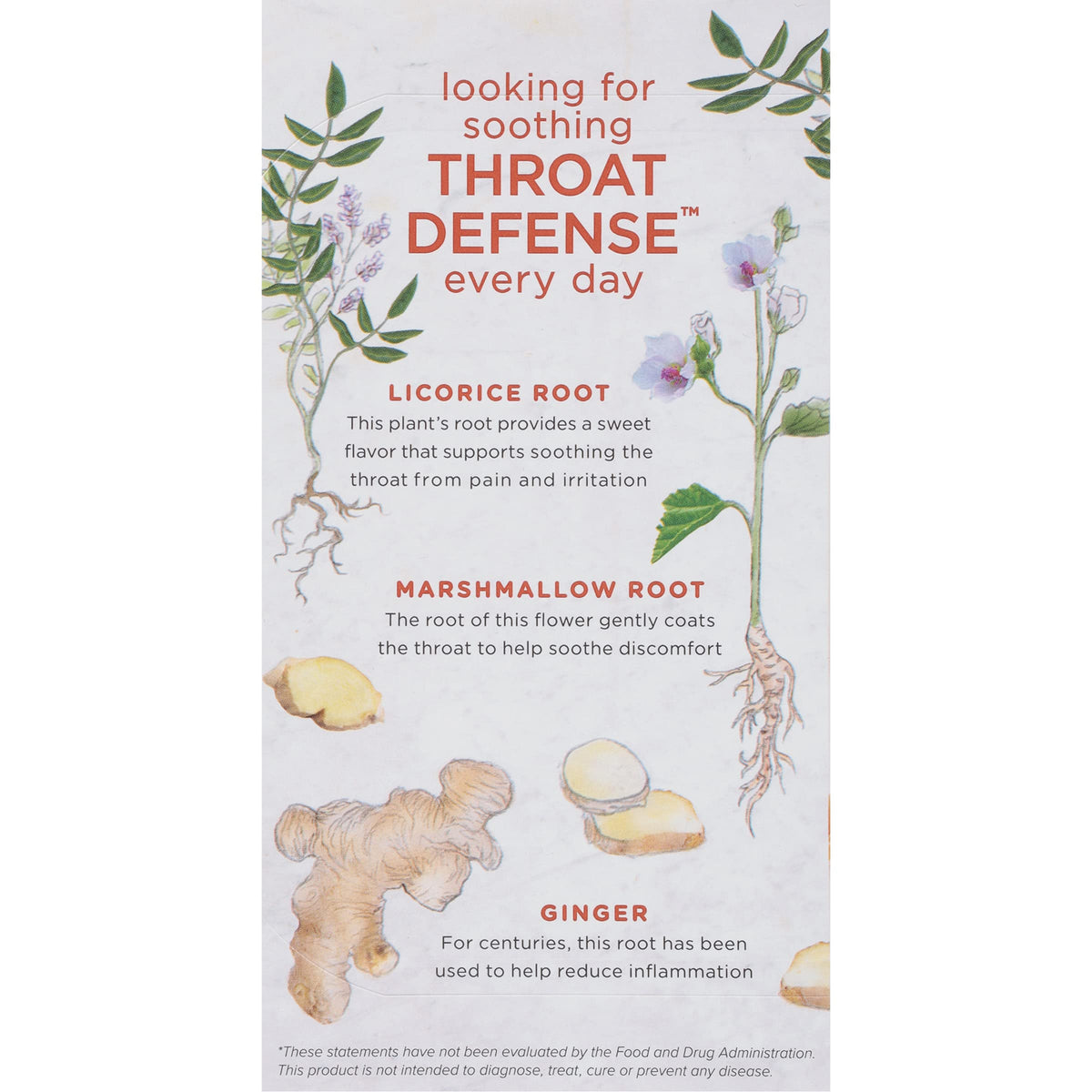 Bigelow Benefits Throat Defense Ginger Honey Lemon Herbal Tea - 108 Bags (Pack of 6) | Gluten-Free & Kosher