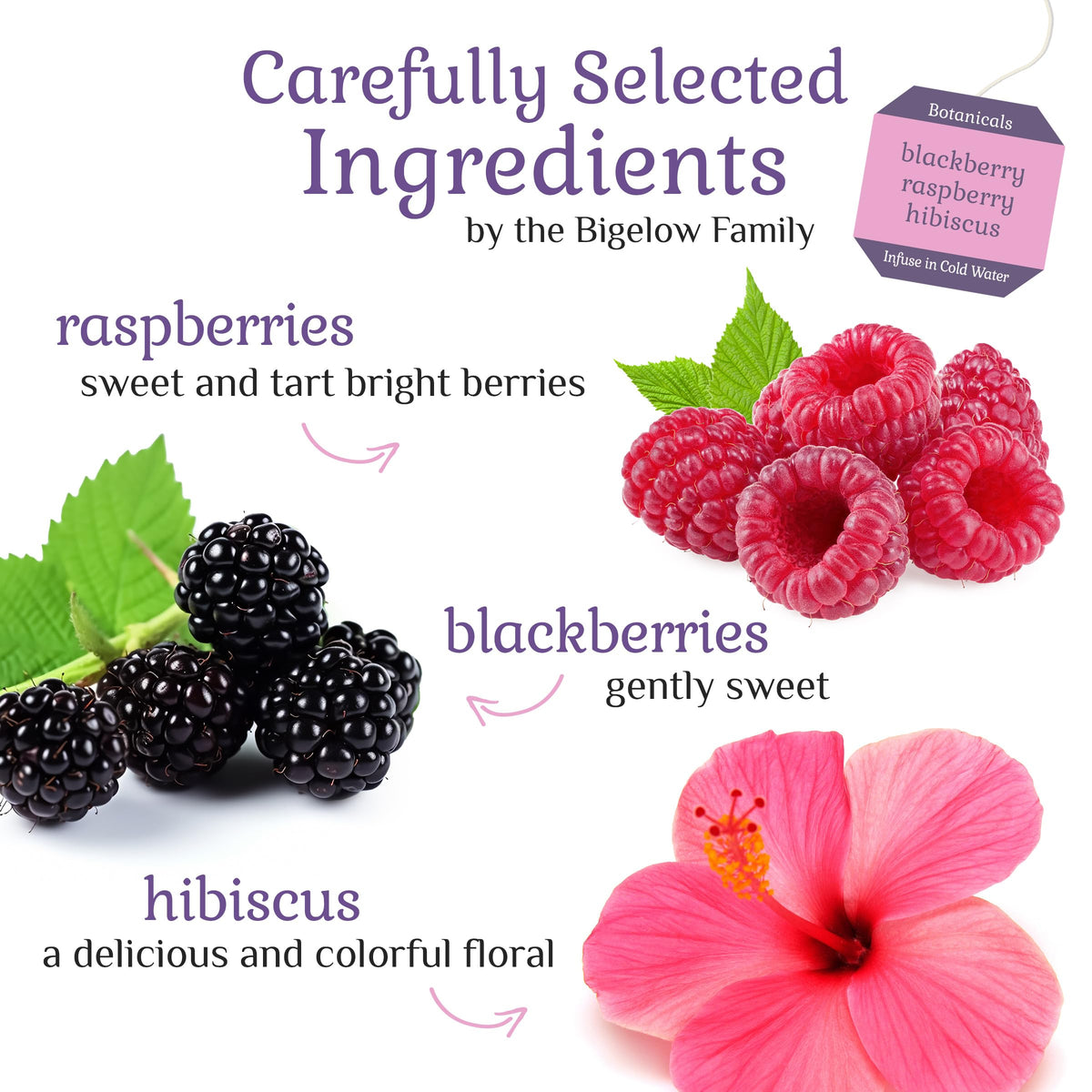 Bigelow Botanicals Cold Water Infusion Blackberry Raspberry Hibiscus Herbal Tea - Caffeine Free, Gluten Free, 108 Bags (Pack of 6)