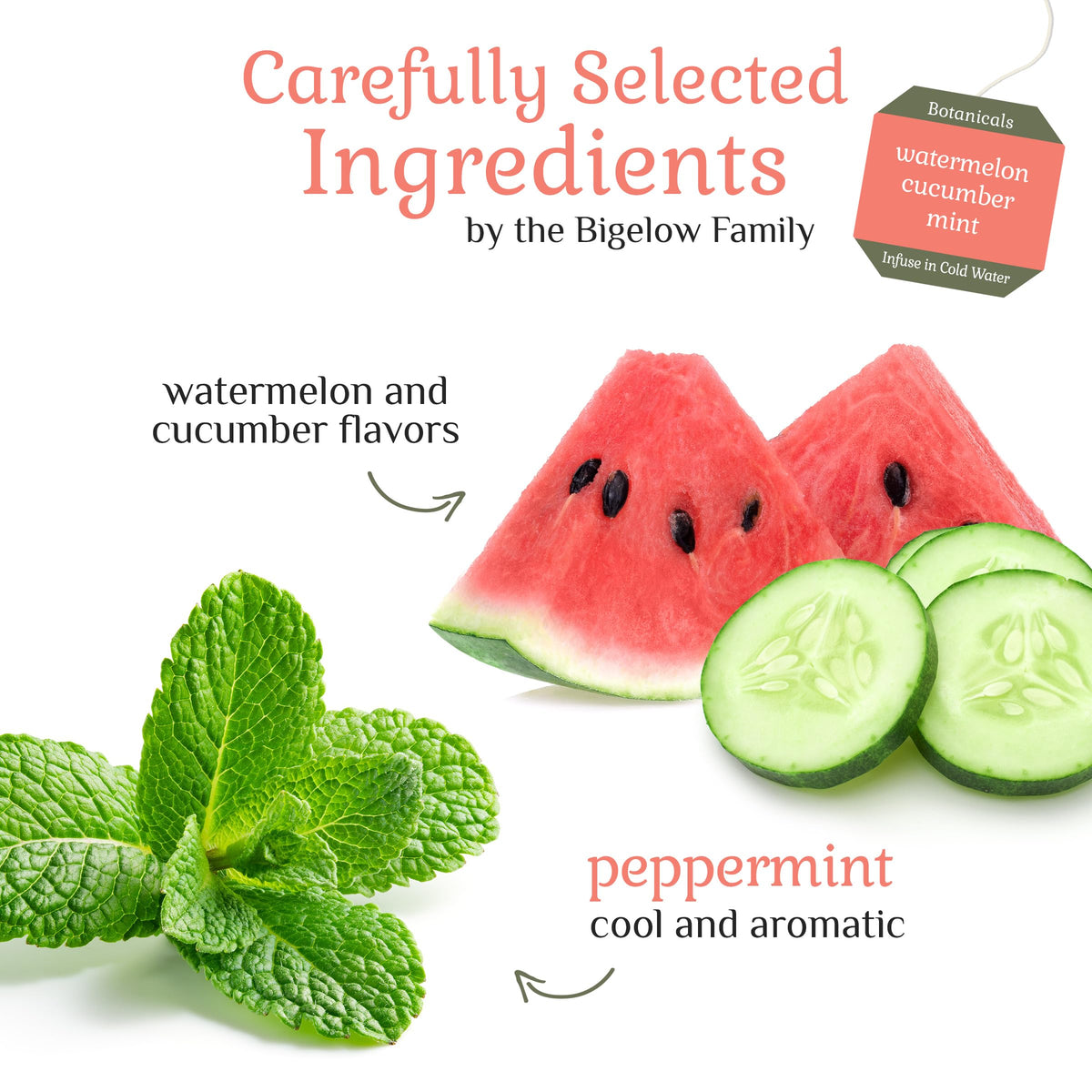 Bigelow Botanicals Cold Water Infusion Watermelon Cucumber Mint – Caffeine Free Herbal Tea (108 Bags, Pack of 6)
