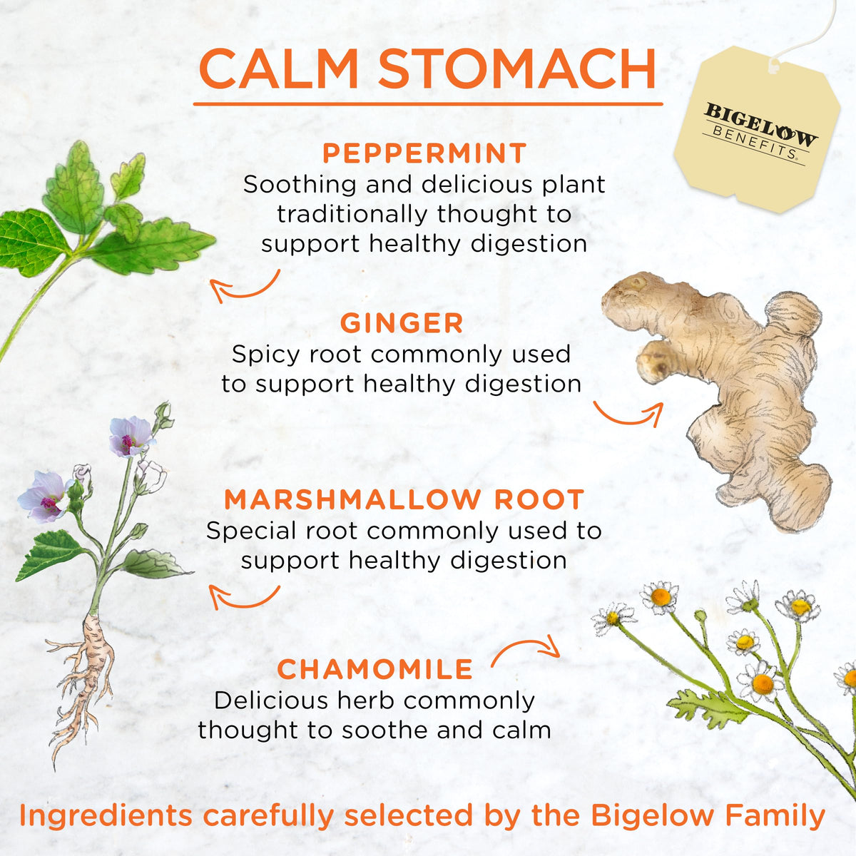Bigelow Tea Benefits Calm Stomach Ginger Peach Herbal Tea – Caffeine Free, 108 Total Tea Bags (6-Pack)
