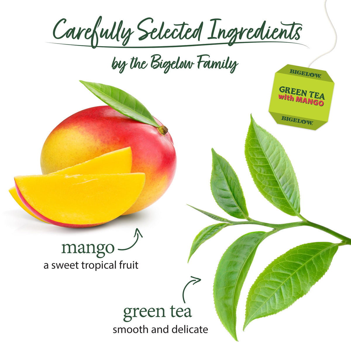 Bigelow Tea Green Tea with Mango, Caffeinated, 120 Total Tea Bags (Pack of 6, 20-Count Boxes)