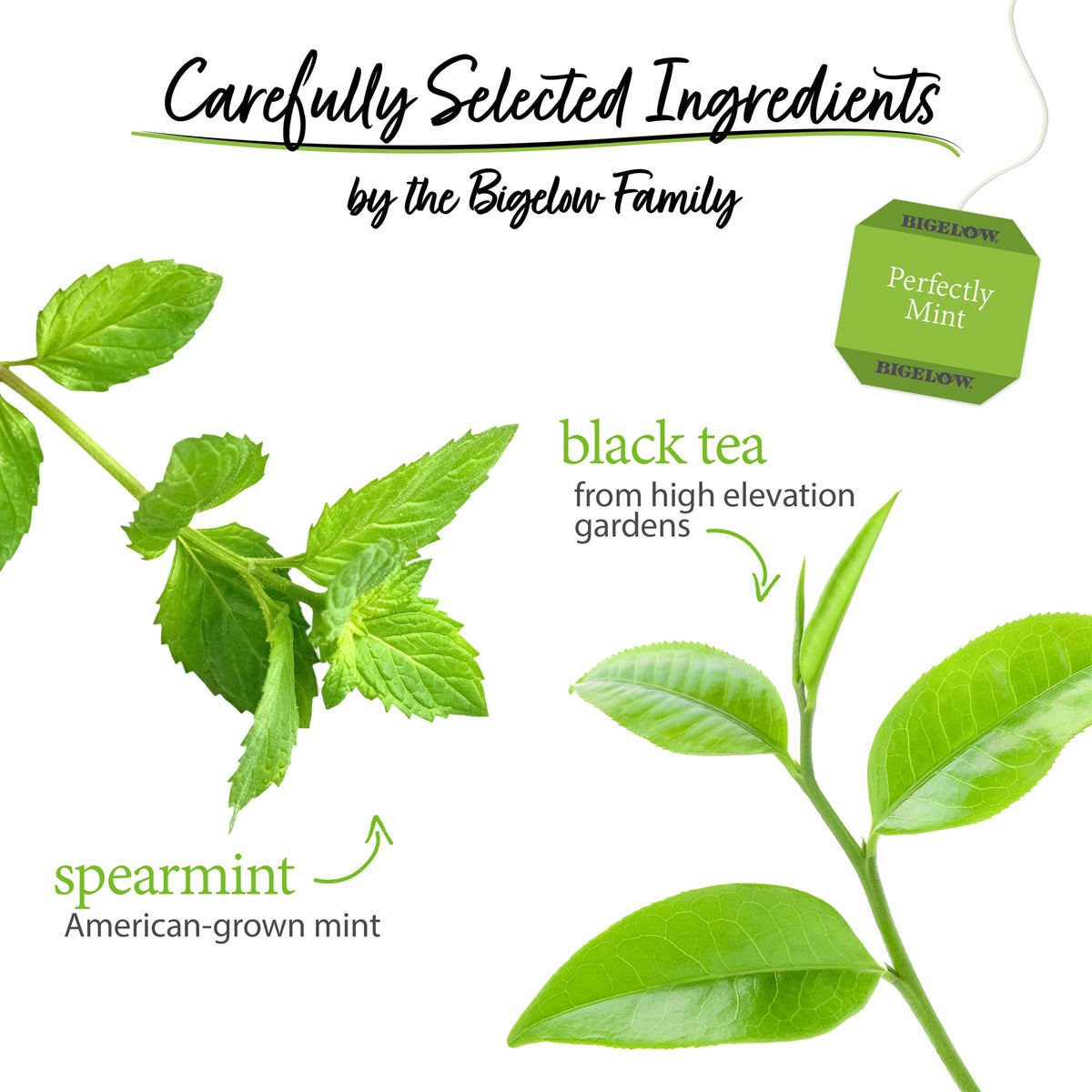 Bigelow Tea Perfectly Mint Black Tea - Spearmint, Caffeinated, 120 Bags (Pack of 6)