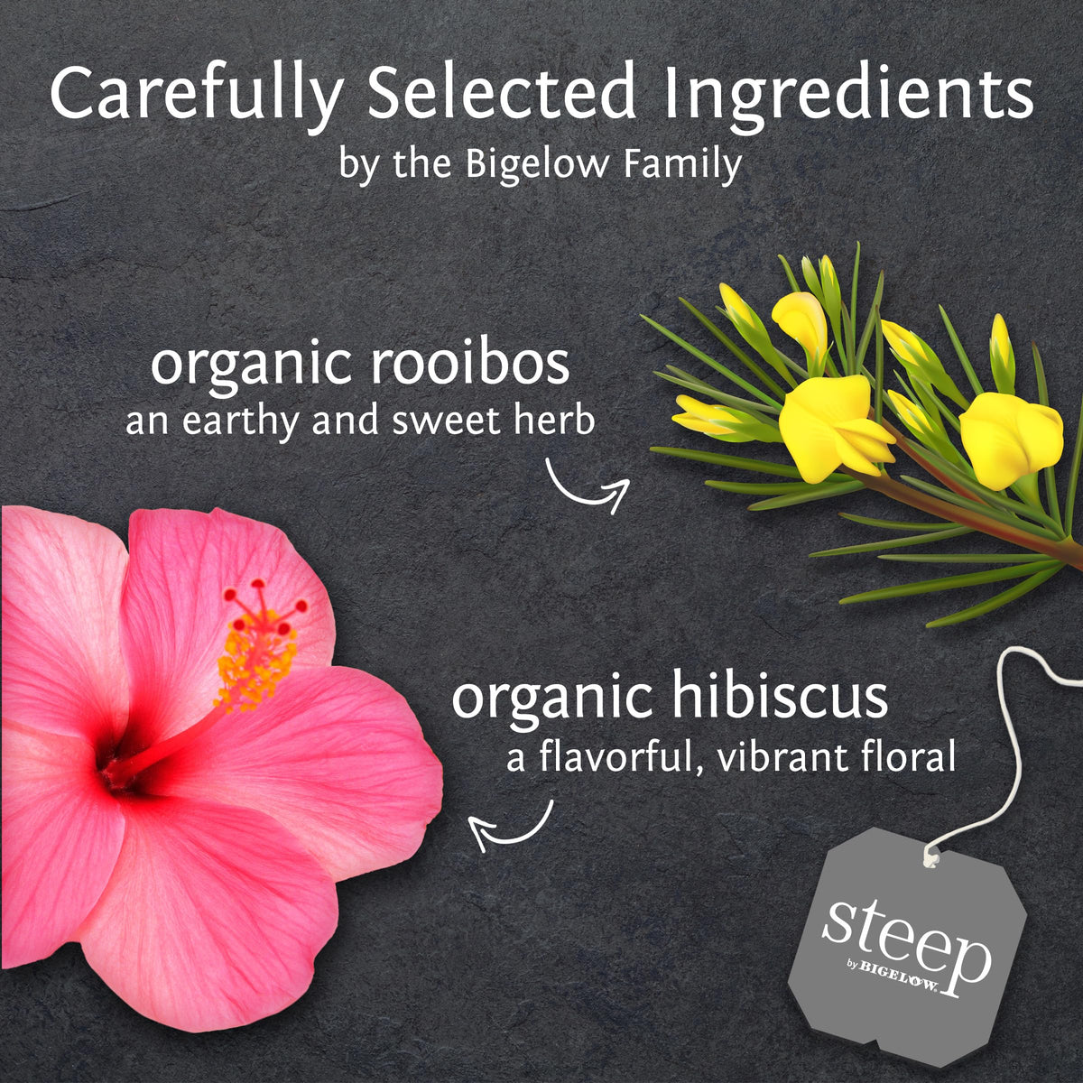 Steep by Bigelow Organic Rooibos Hibiscus Herbal Tea — Caffeine Free, 120 Bags (Pack of 6)