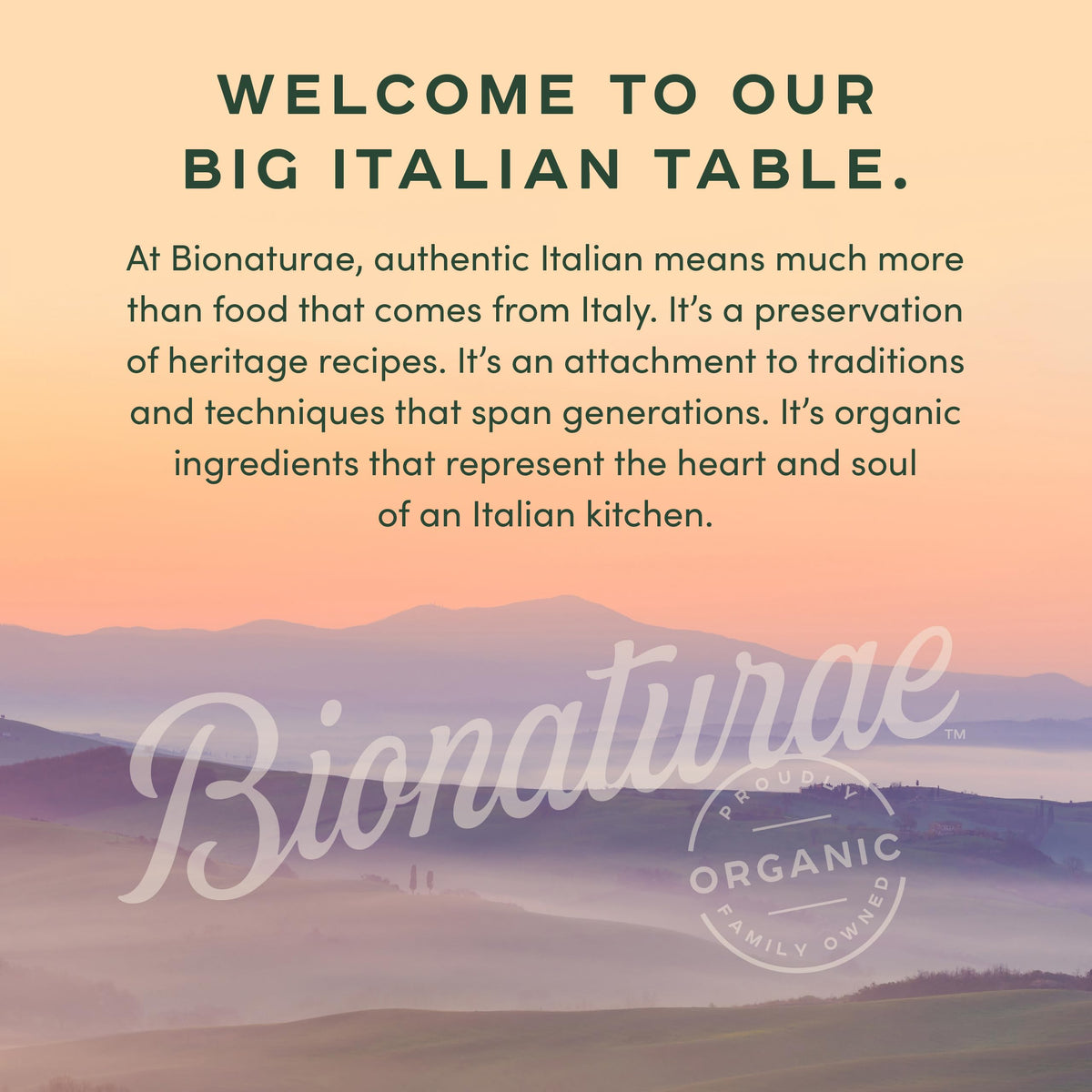 Bionaturae Gluten-Free Linguine Pasta – Rice & Lentil, 8g Protein, Non-GMO, Kosher, 12oz (4 Pack)
