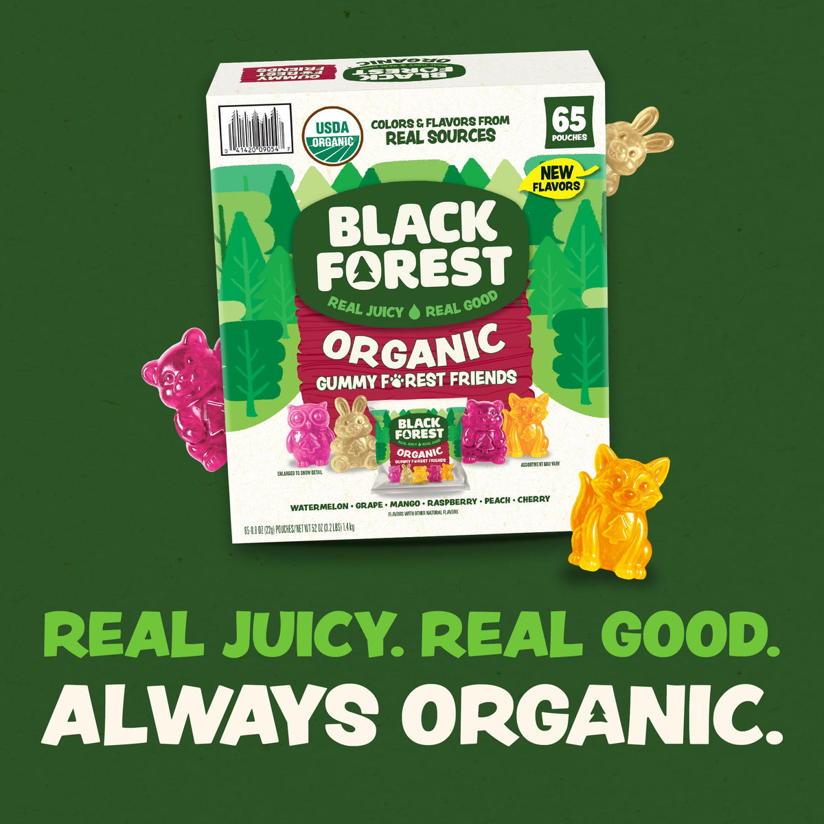 Black Forest Organic Forest Friends Gummies — 65 Count, Real Fruit Juice, Gluten Free & Fat Free, 0.8 oz Pouches