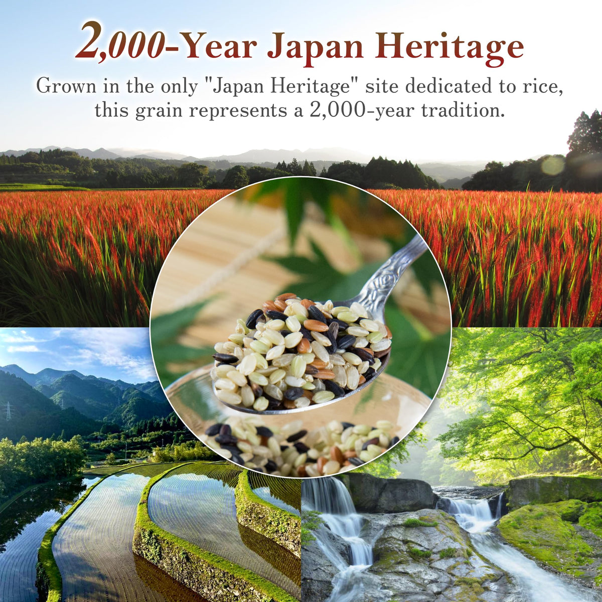 Ancient Rice Blend (Black Red Green) 1.1 lb – Kumamoto, Japan | Low GI, Easy Zip-Storage | Kyushu no Daizen Shiraki