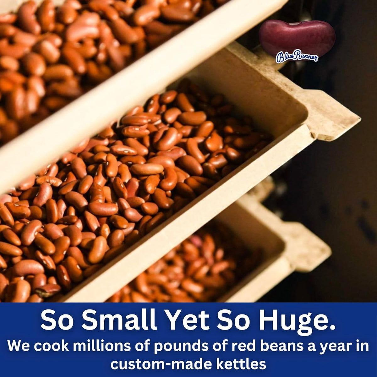 Blue Runner Creole Cream Style Red Beans – 16 oz (Pack of 12)