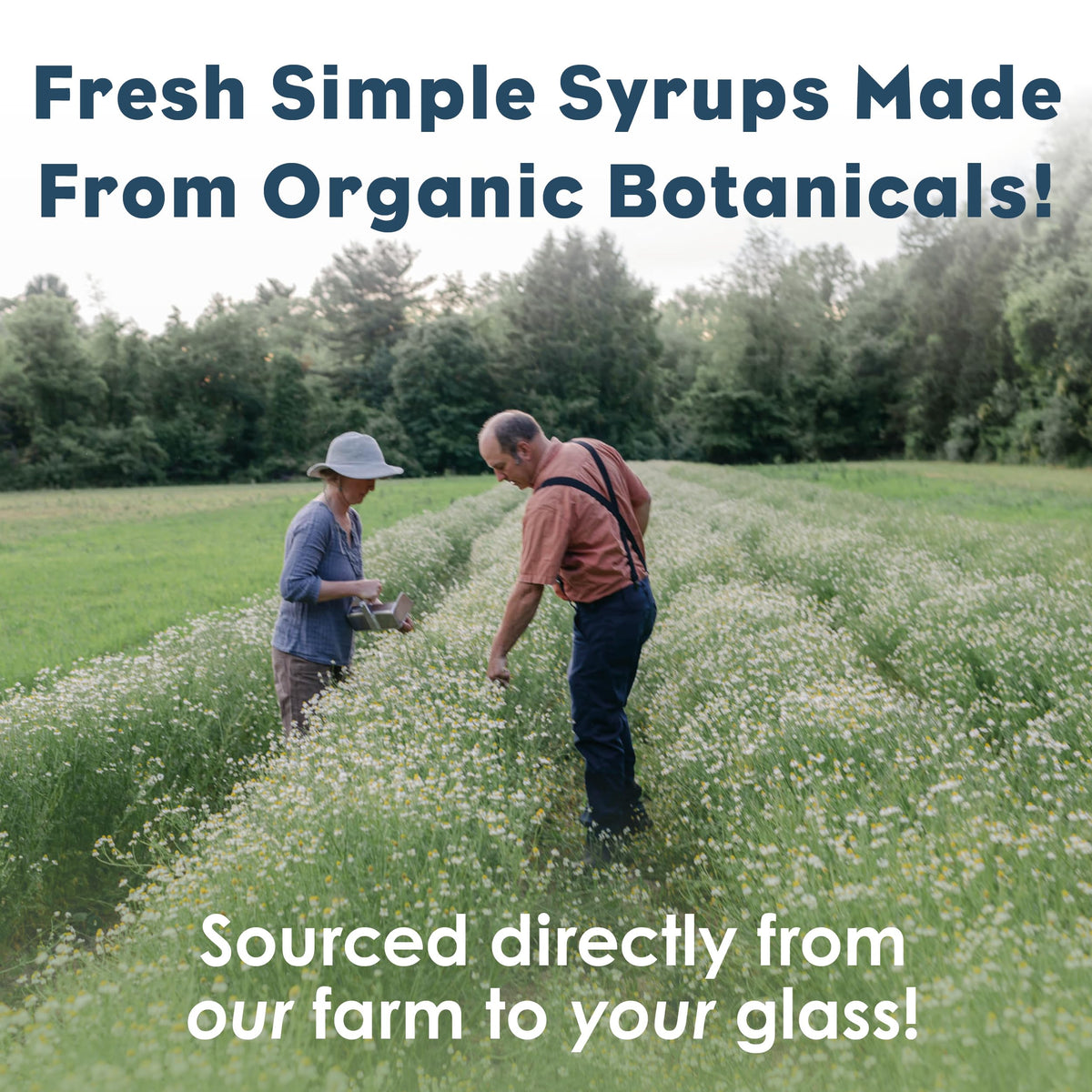 Bluestem Botanicals Organic Rosemary Simple Syrup — 8 oz | Cocktail & Mocktail Mixer