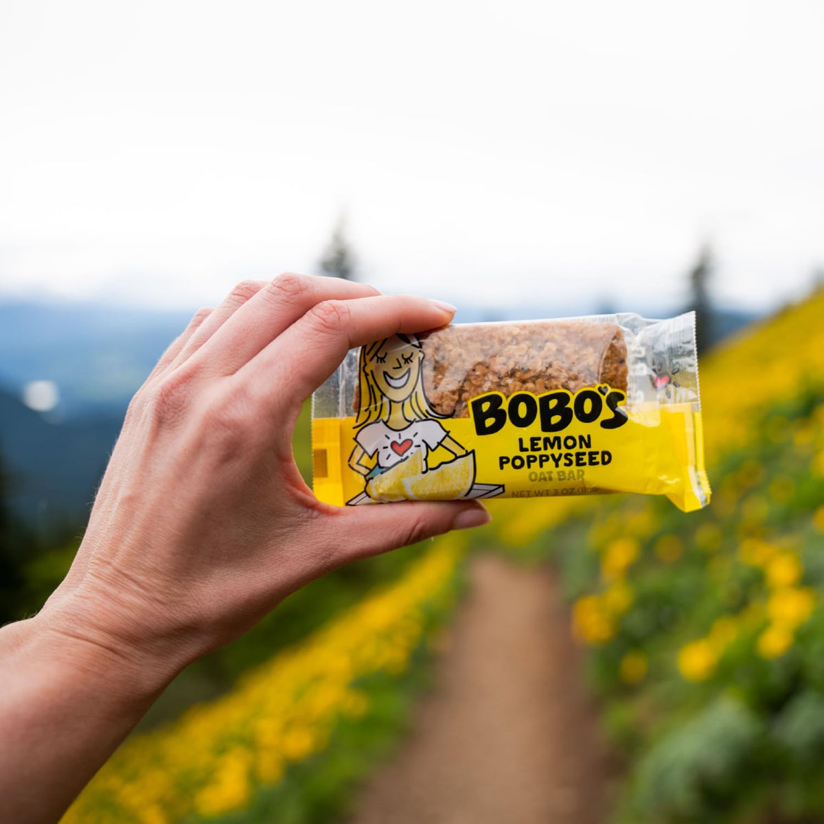 Bobo's Oat Bars Sampler 12-Pack | Gluten Free, Plant-Based, Non-GMO