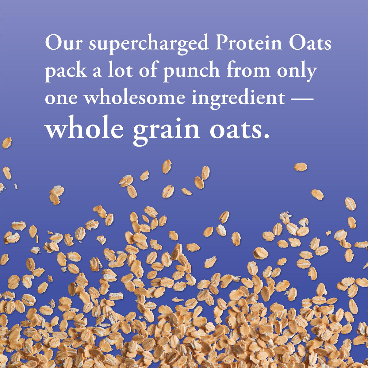Bob's Red Mill Gluten Free Protein Oats – 10g Protein per Serving, 32oz Pack of 4 | Non-GMO, Whole Grain, Vegan, Kosher