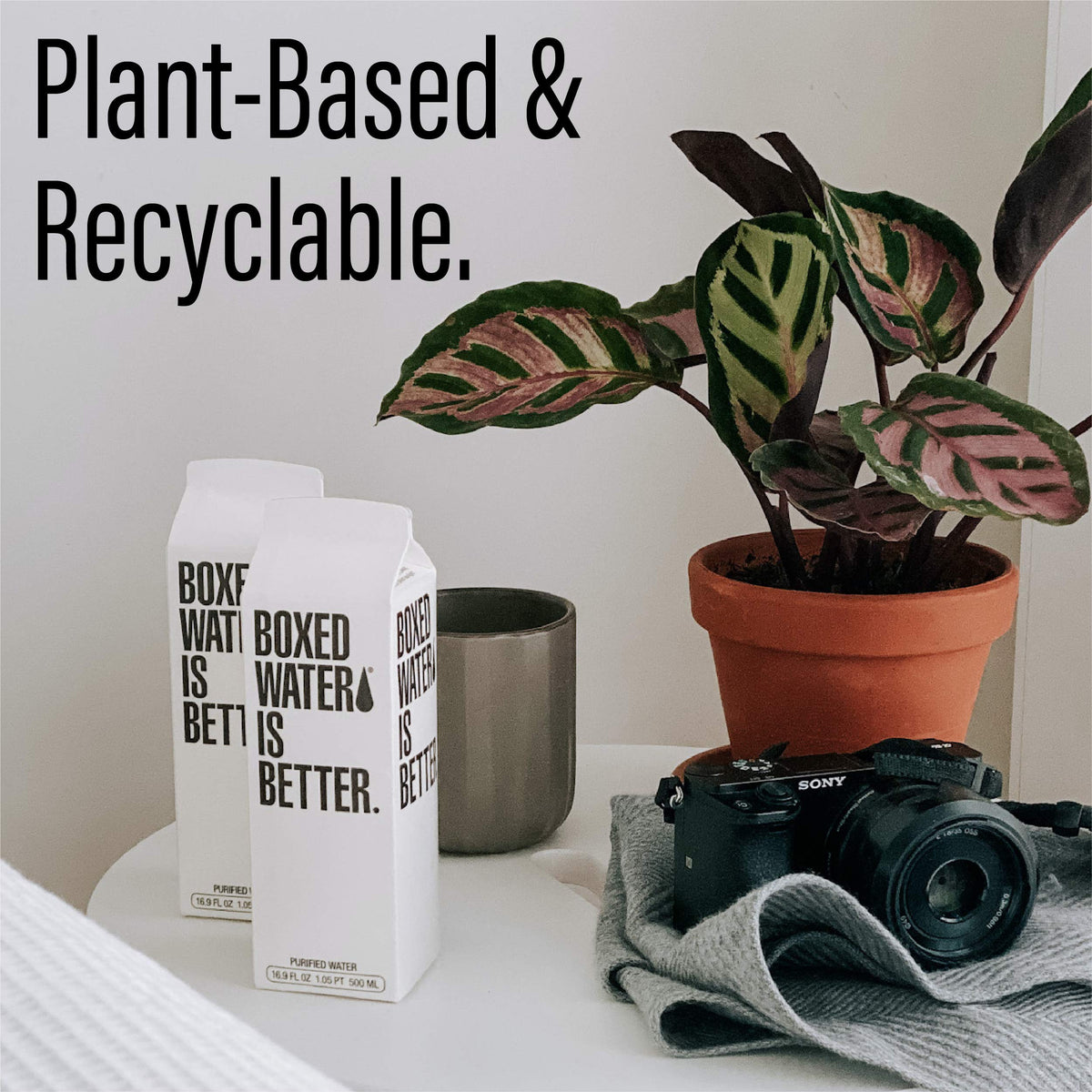 Boxed Water 16.9 oz (12 Pack) – Plant-Based Cartons, BPA-Free, Refillable & Reusable