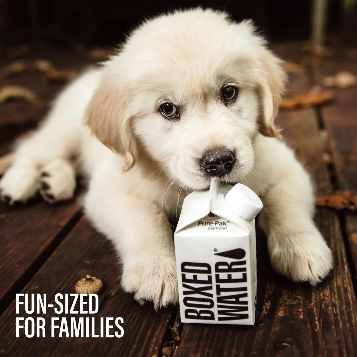 Mini Boxed Water 8.4 oz (24 Pack) – Plant-Based, BPA-Free Cartons | BOXED WATER IS BETTER
