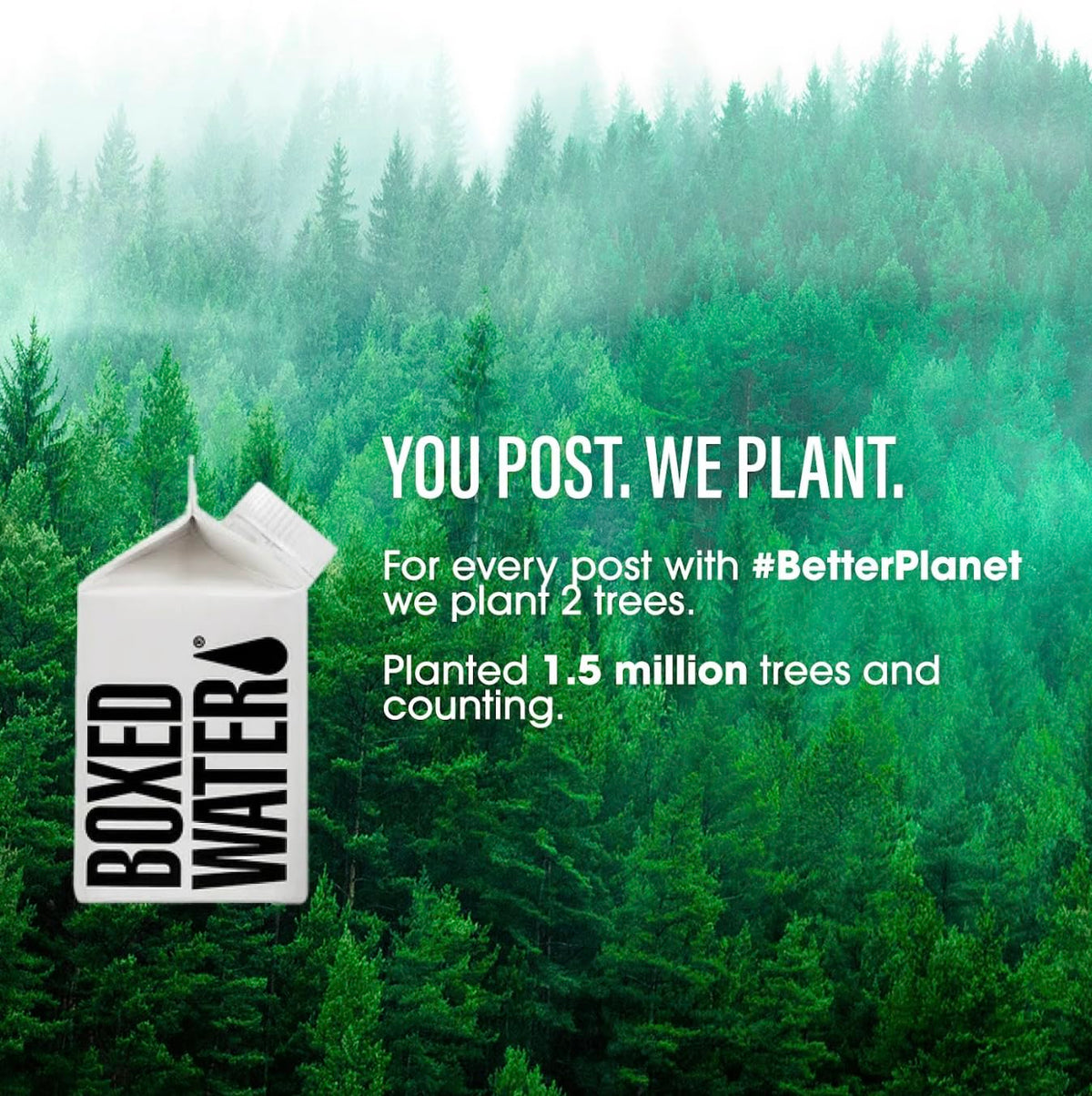 Mini Boxed Water 8.4 oz (24 Pack) – Plant-Based, BPA-Free Cartons | BOXED WATER IS BETTER