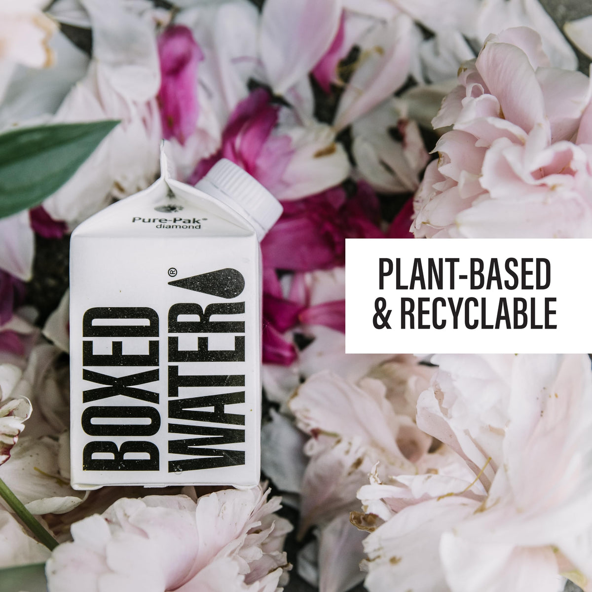 Mini Boxed Water 8.4 oz (24 Pack) – Plant-Based, BPA-Free Cartons | BOXED WATER IS BETTER