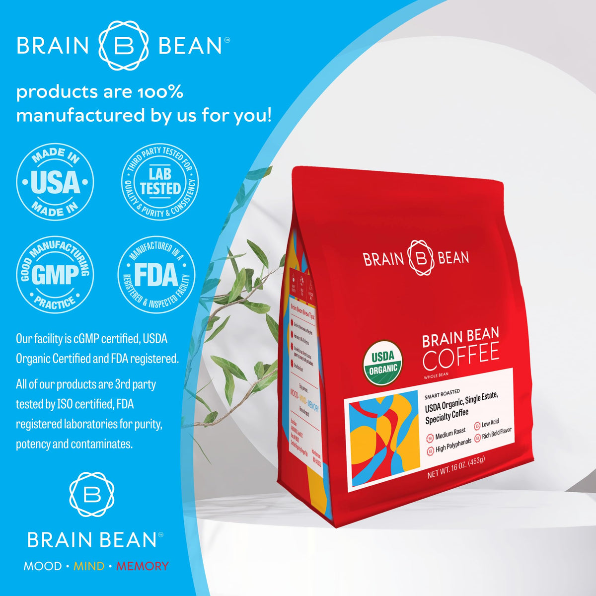 Brain Bean Organic Coffee – Smooth Medium Roast, High Antioxidants, USDA Organic – 16 oz Whole Bean