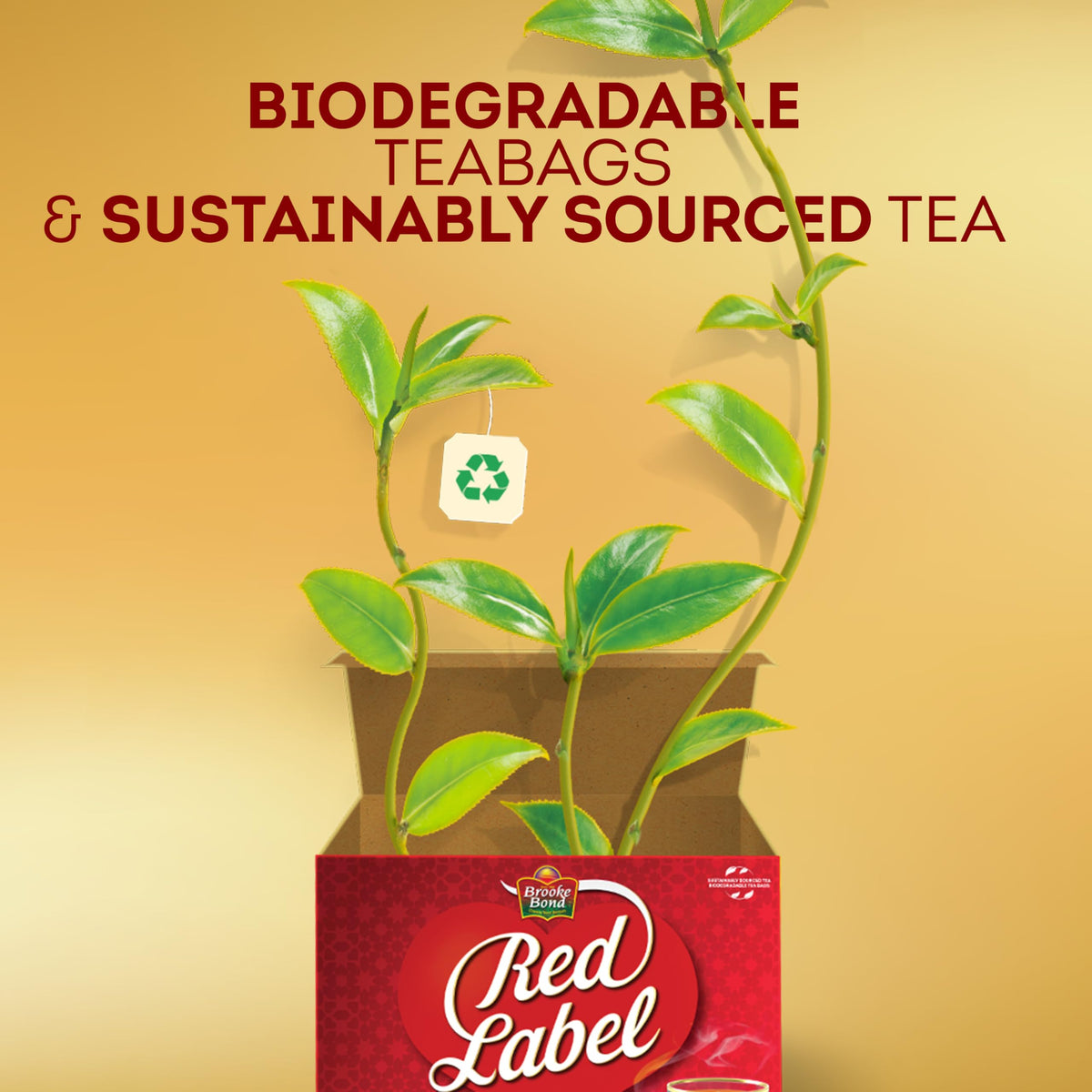 Brooke Bond Red Label Black Tea – Premium Loose Leaf, 900g