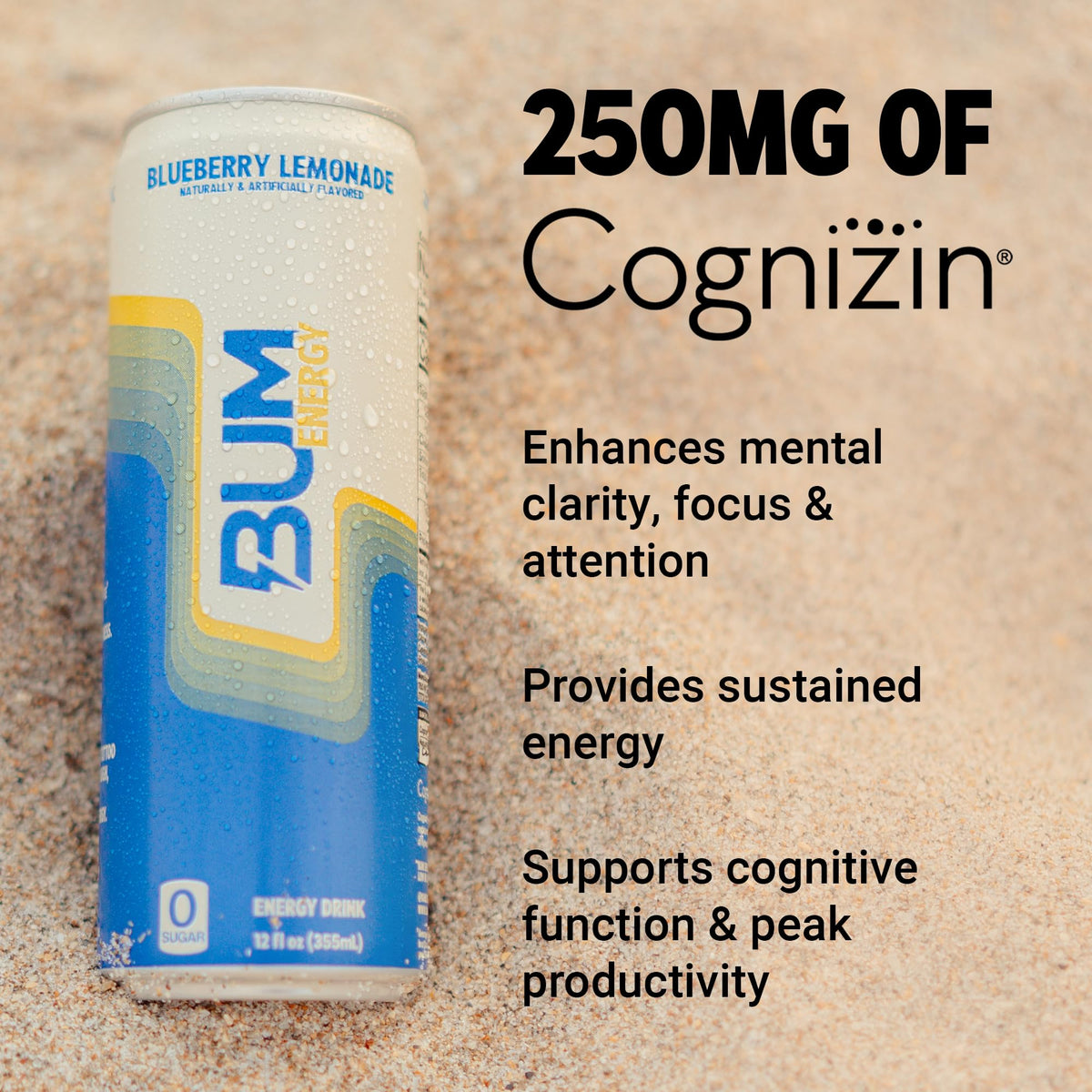 BUM Sugar-Free Energy Drink – Blueberry Lemonade, Natural Caffeine & Cognizin | 12-Pack