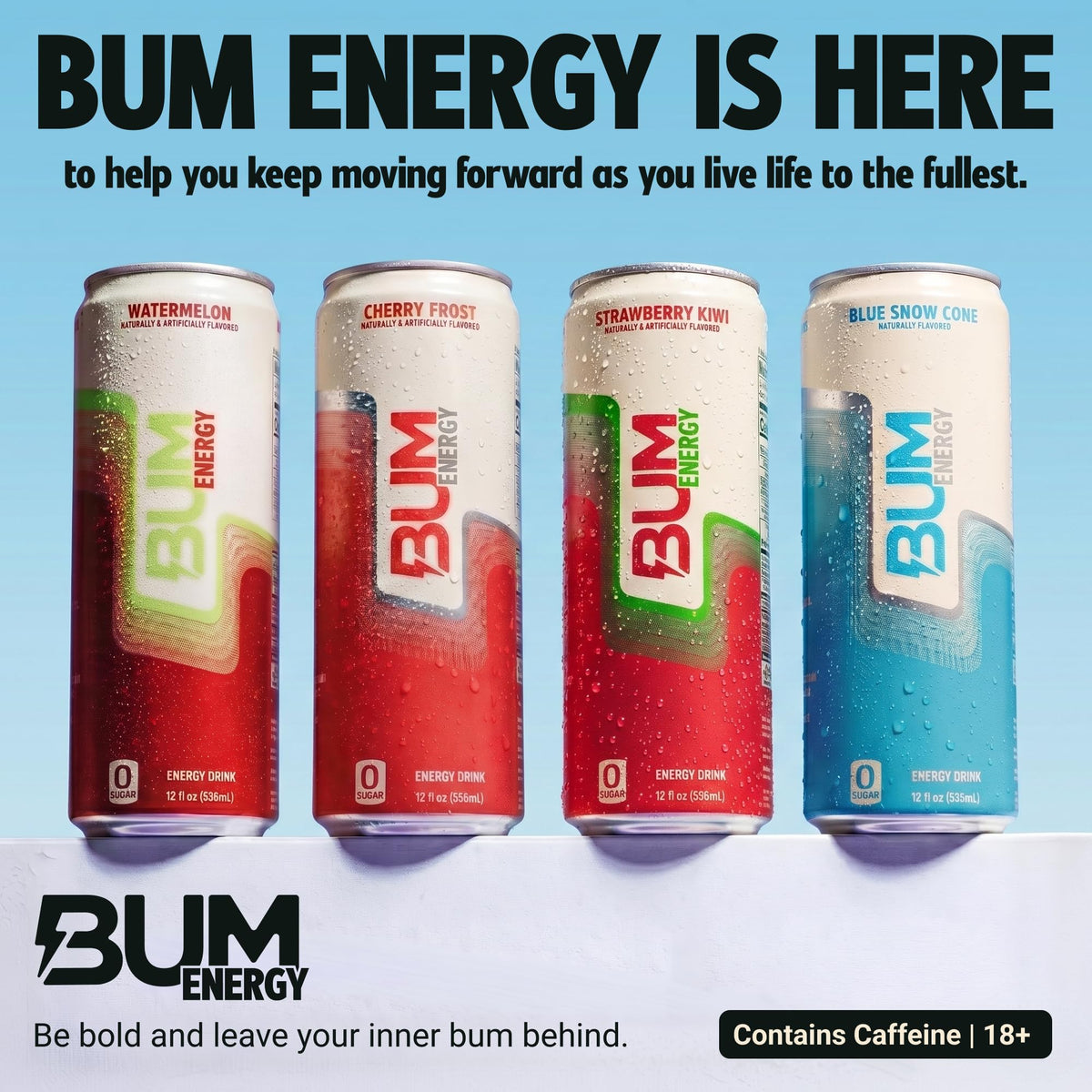 BUM Sugar-Free Energy Drink – Fruit Variety Pack | Natural Caffeine & Cognizin, 12 oz Cans (Pack of 12)