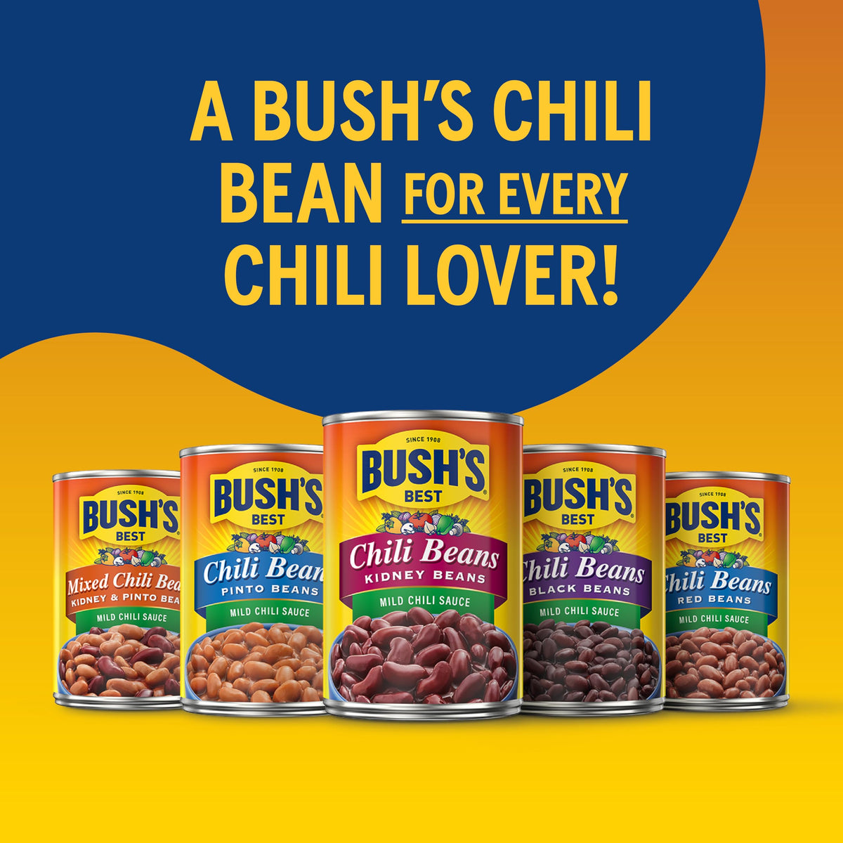 Bush's Best 16 oz Spicy Dark Red Chili Beans – Plant-Based Protein & Fiber (Pack of 12)