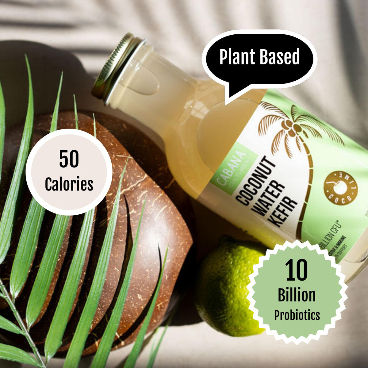 Cabana Cultures Probiotic Coconut Water Kefir – Gut Health, Hydration & Immunity Support | Variety Pack (12-Pack)