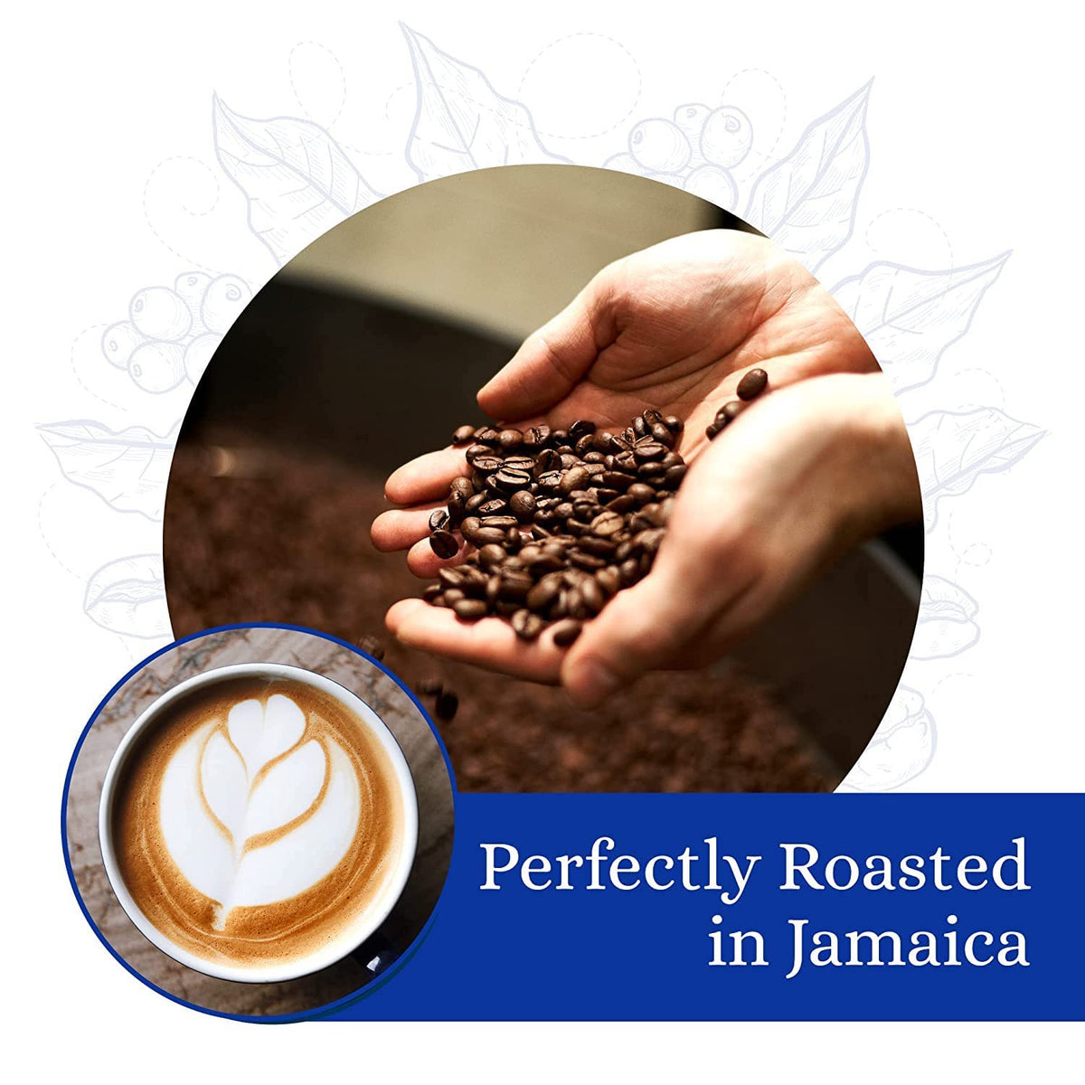 Cafe Blue – 100% Authentic Jamaica Blue Mountain Coffee (Clifton Mount), Medium Roast, 16 oz