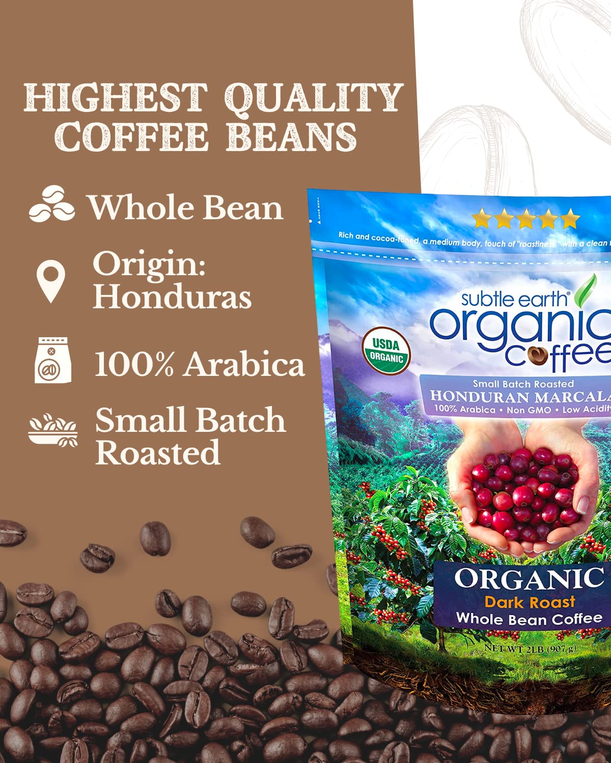 Cafe Don Pablo Subtle Earth Organic Coffee – Dark Roast, 2 lb Whole Bean, 100% Arabica, Low Acidity, Non-GMO
