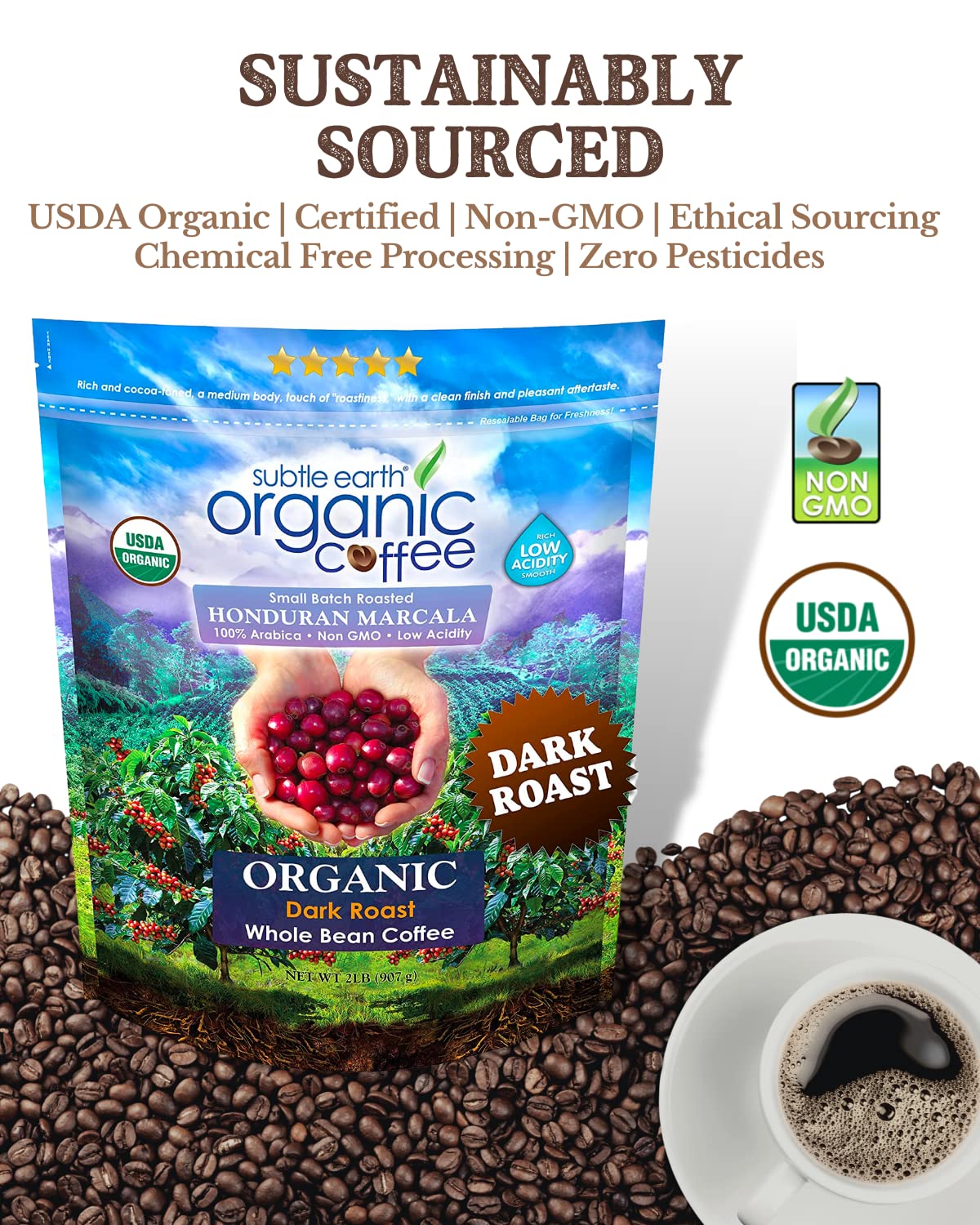 Cafe Don Pablo Subtle Earth Organic Coffee – Dark Roast, 2 lb Whole Bean, 100% Arabica, Low Acidity, Non-GMO