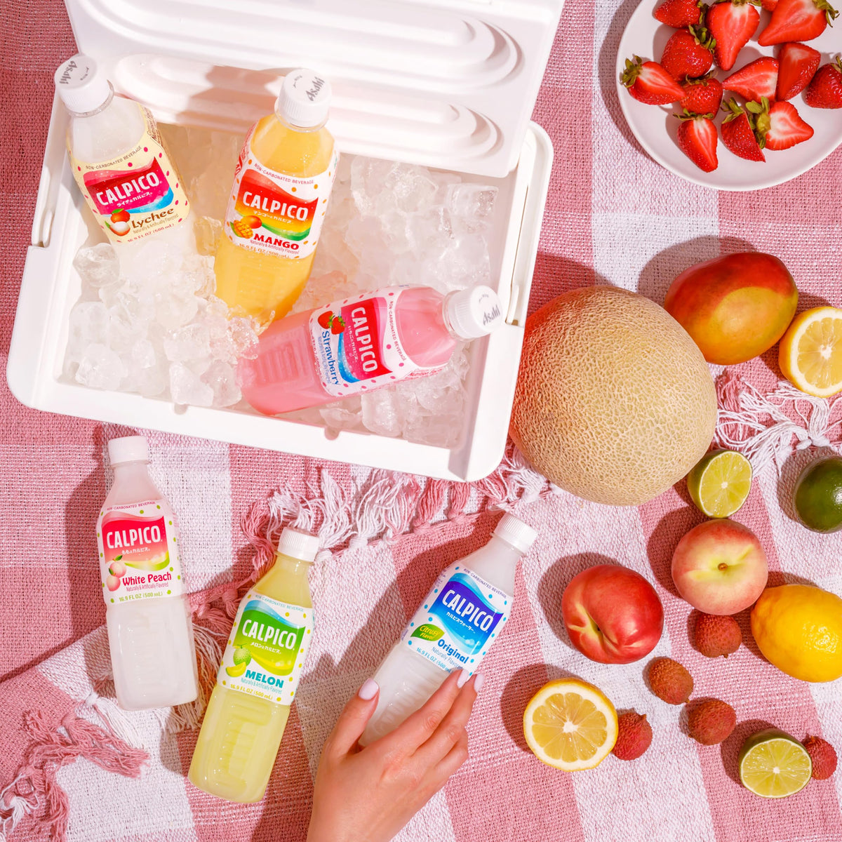 CALPICO Lychee – Smooth, Creamy Non-Carbonated Lactic Acid Drink, 16.9 fl oz (Pack of 6)
