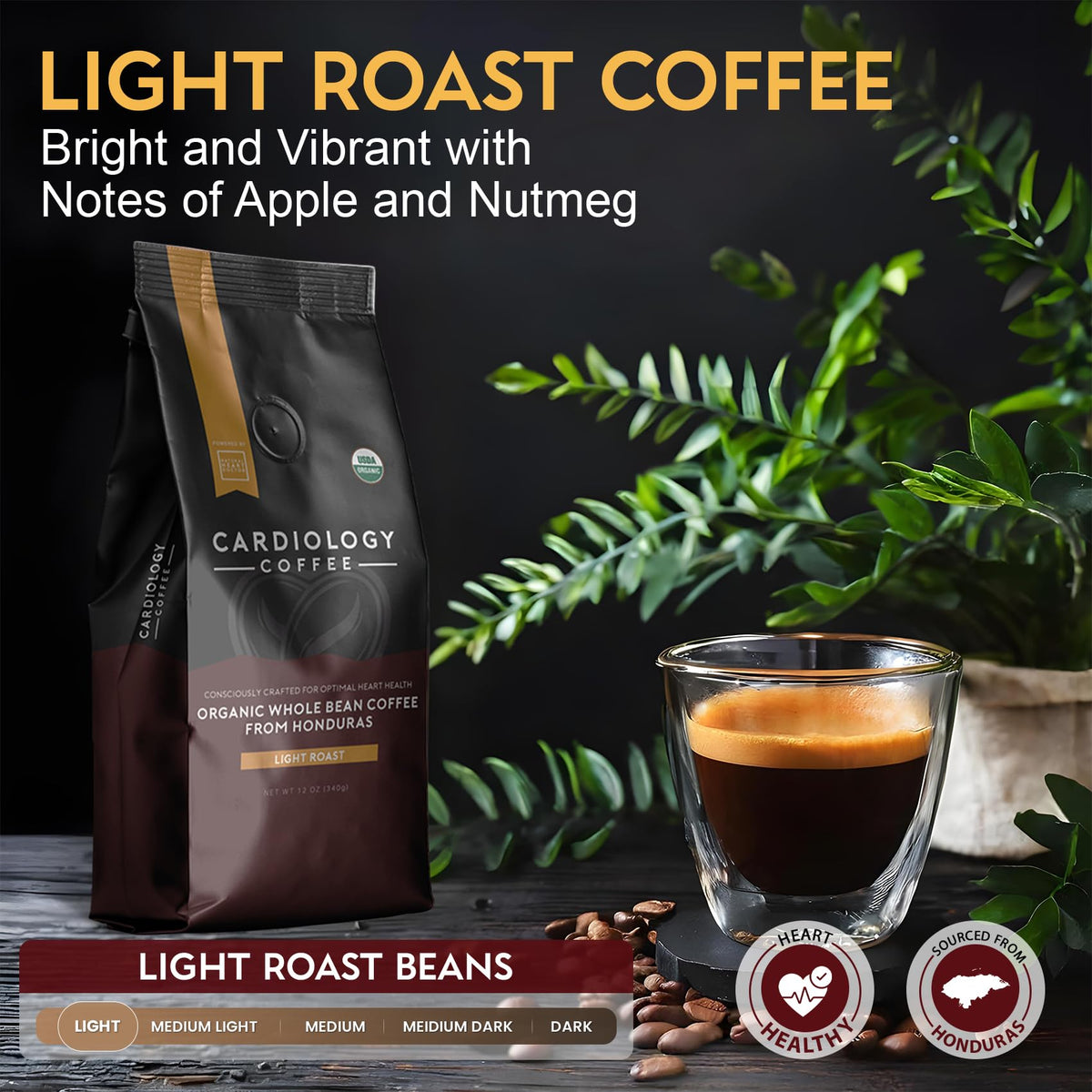 Cardiology Coffee – USDA Organic Mold-Free 12oz Whole Bean Light Roast